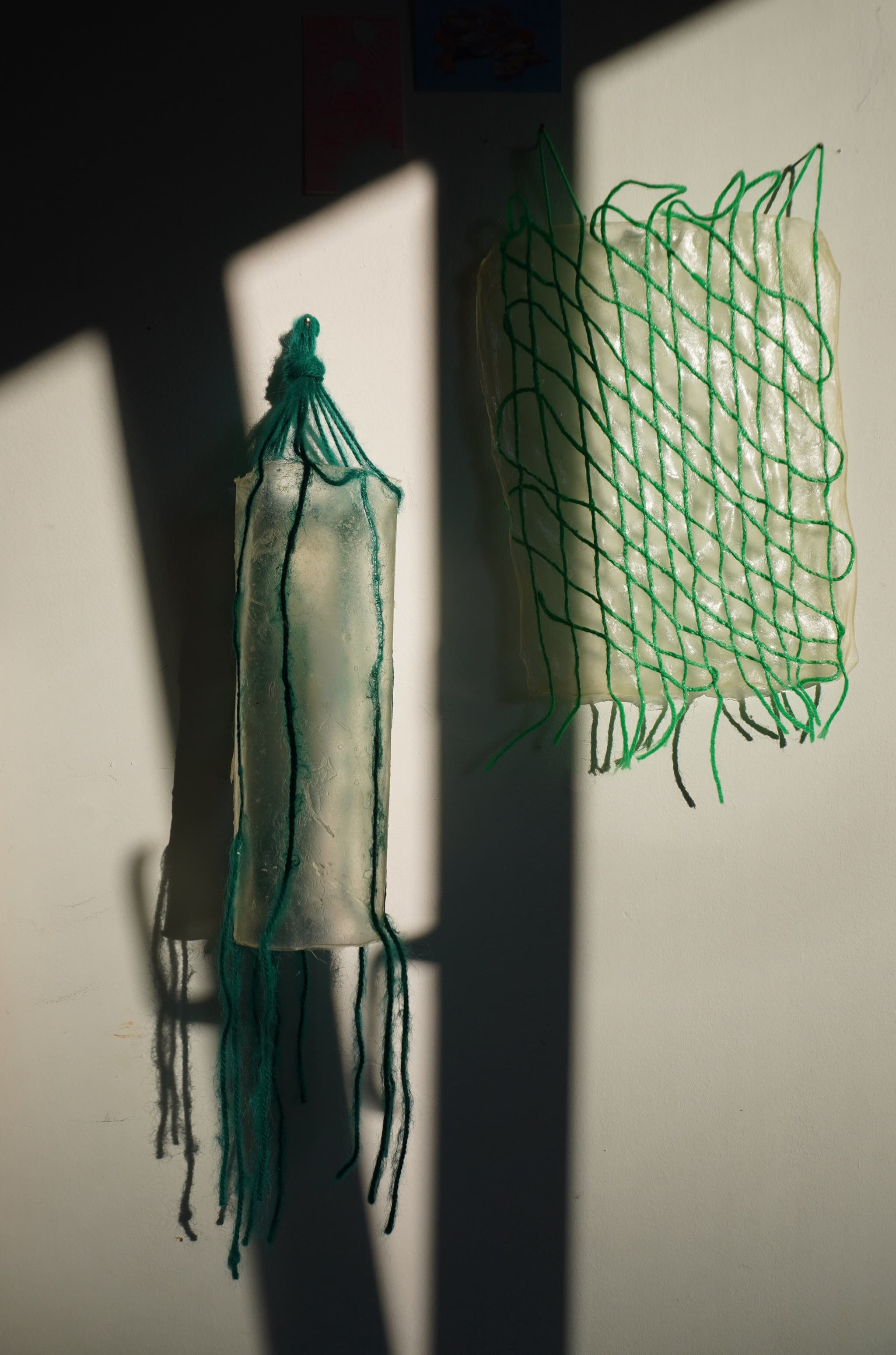 Translucent, textured carrageenan bioplastic sheets evoke preserved or decaying bodily forms.