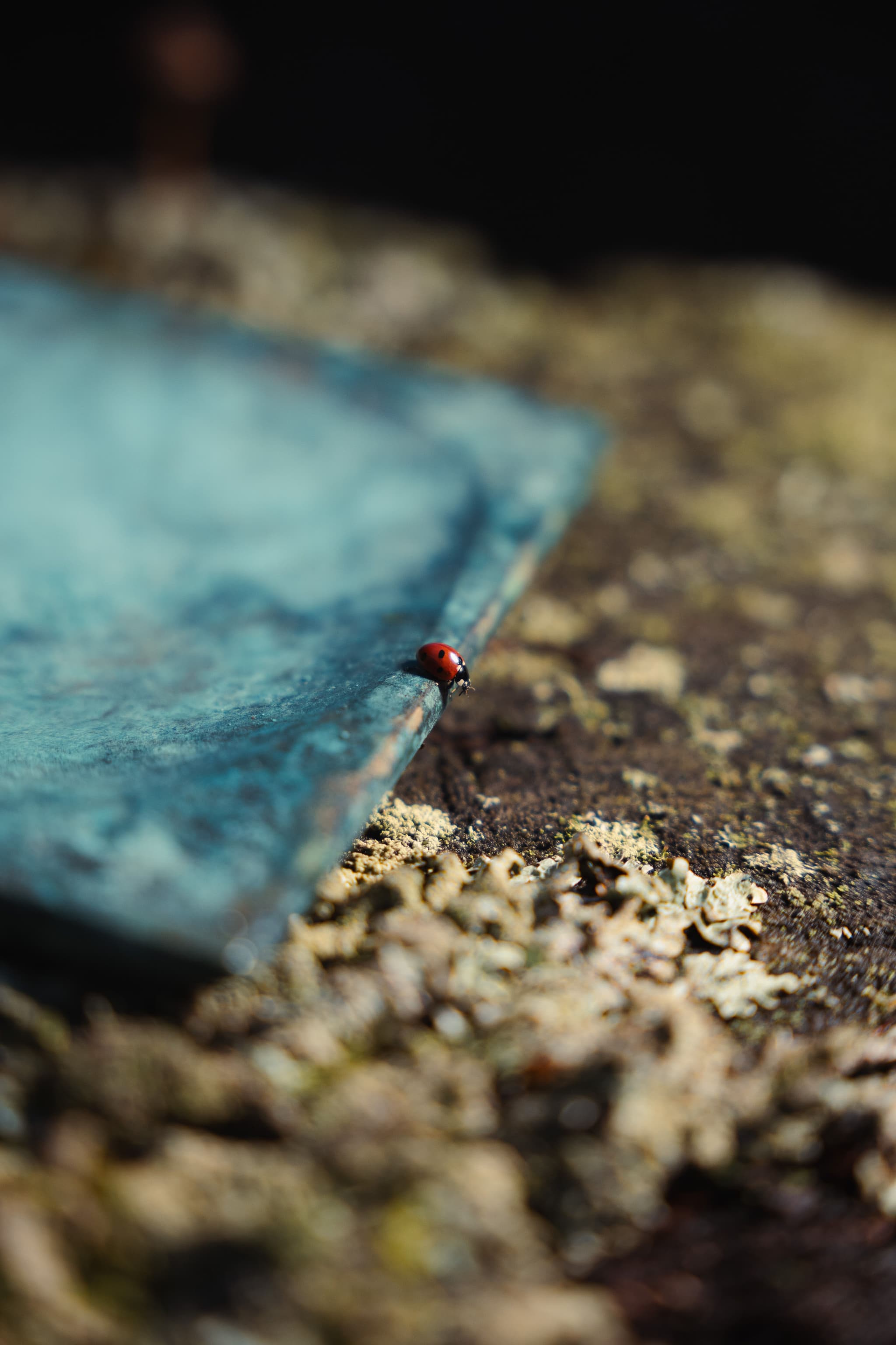 "Morocco Replica" - handcrafted Bronze patina finished tray.