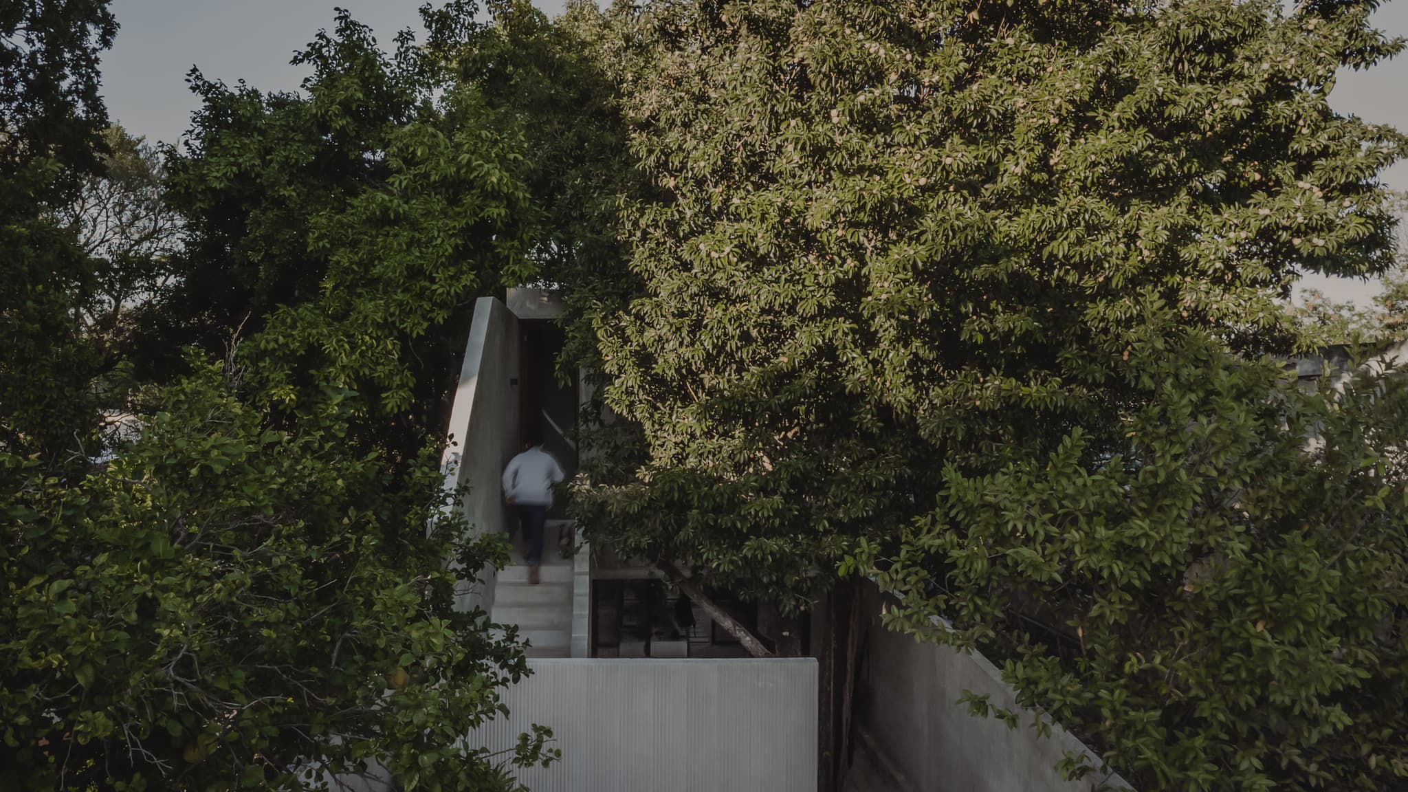 El Tirón (2022) by FMT Estudio. Preserving all trees on-site maintains freshness and creates inviting outdoor spaces around natural elements. Integration of shade-providing trees enhances thermal comfort, fostering harmony between nature and architecture.