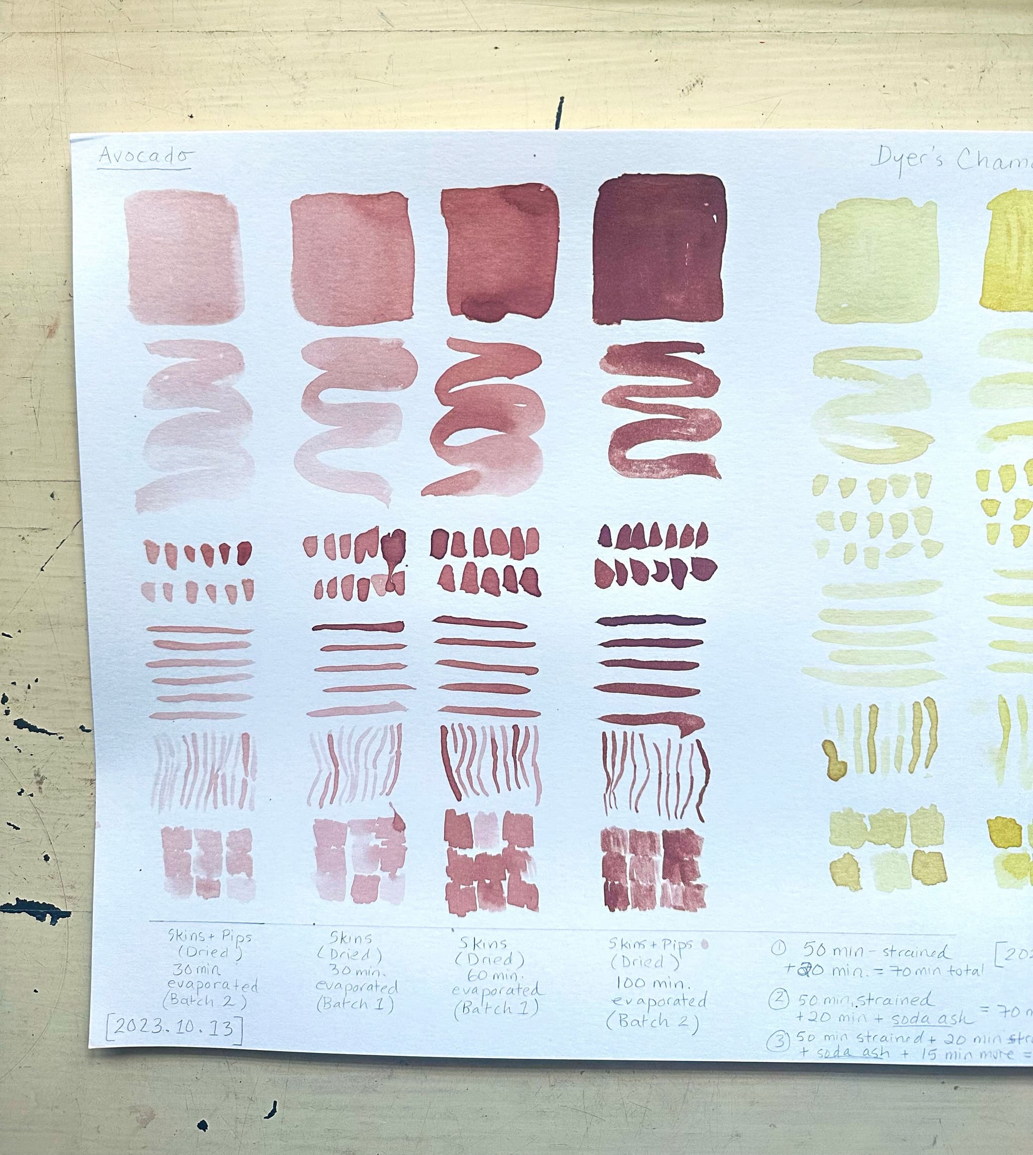 Botanical Inks Swatch Sheet (© 2024 Emily Zadoretzky All Rights Reserved)
