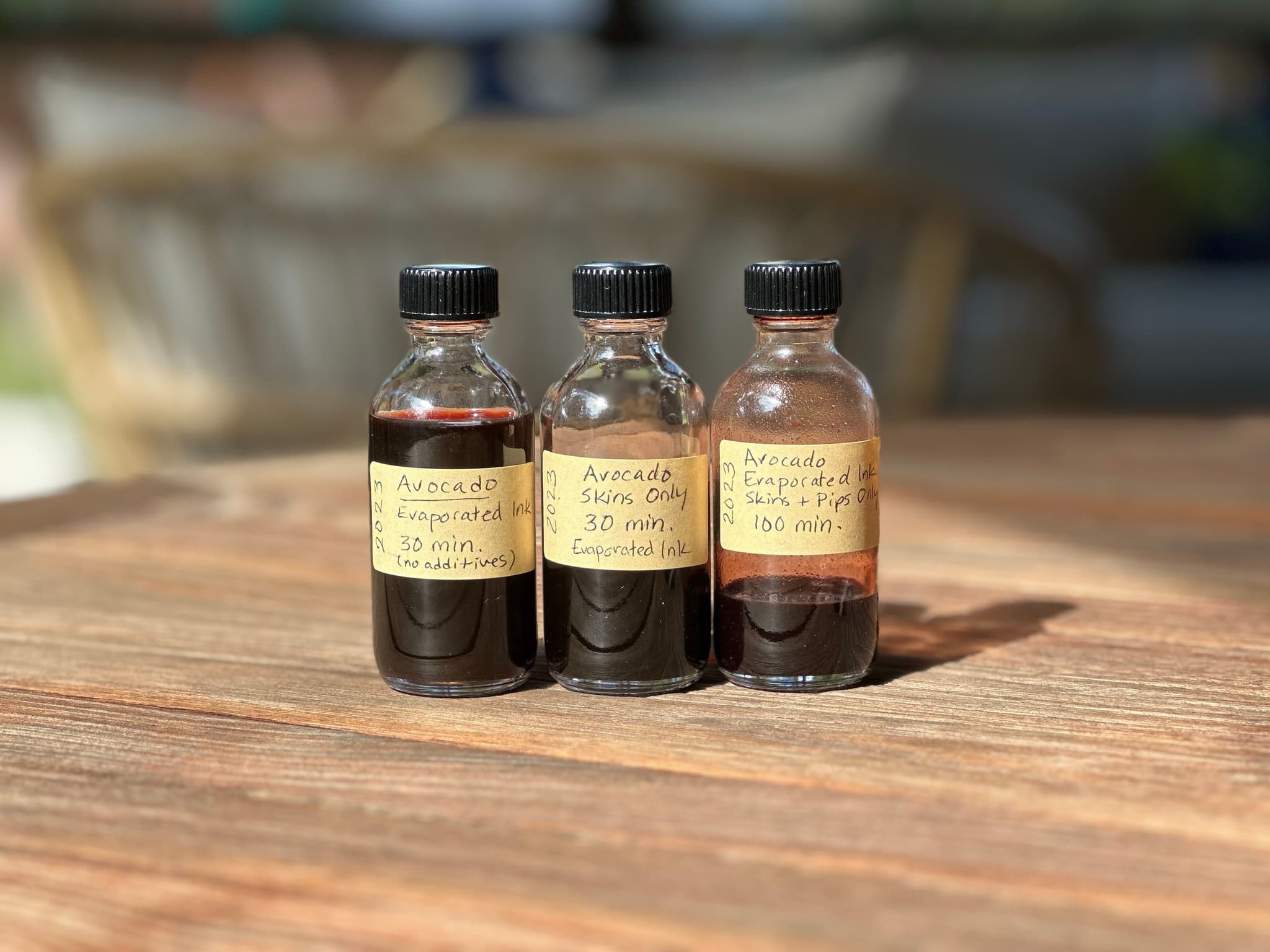 Botanical inks by Emily Zadoretzky. (© 2024 Emily Zadoretzky All Rights Reserved)