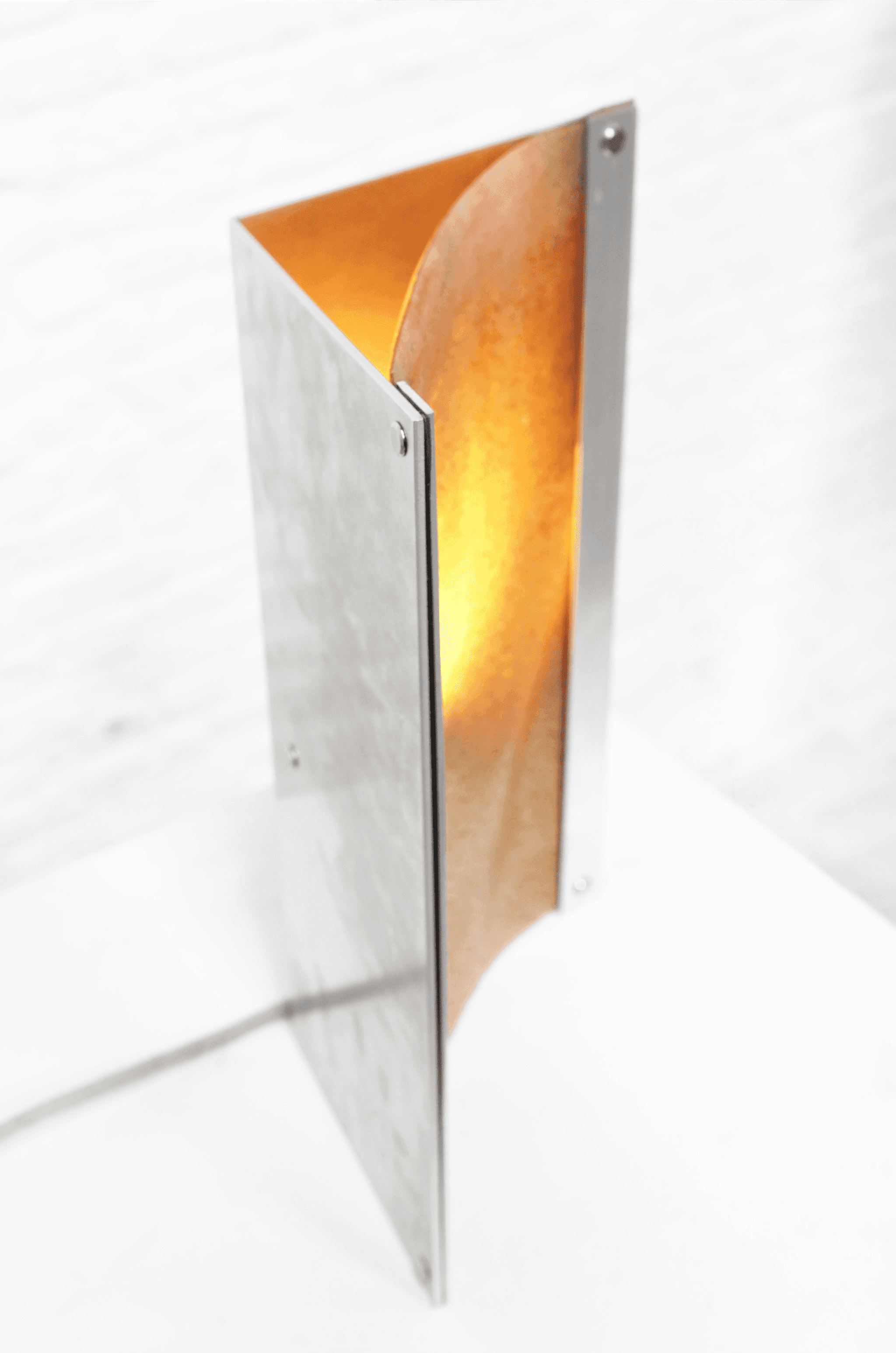 Lamp incorporating a fungal material cultivated through a remediation process in which fungi degrade and purify textile dye wastewater