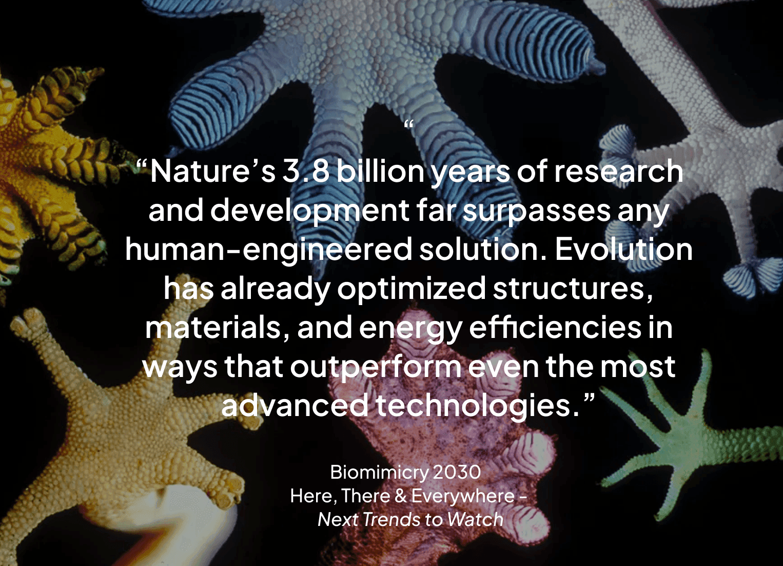 Black rubber material