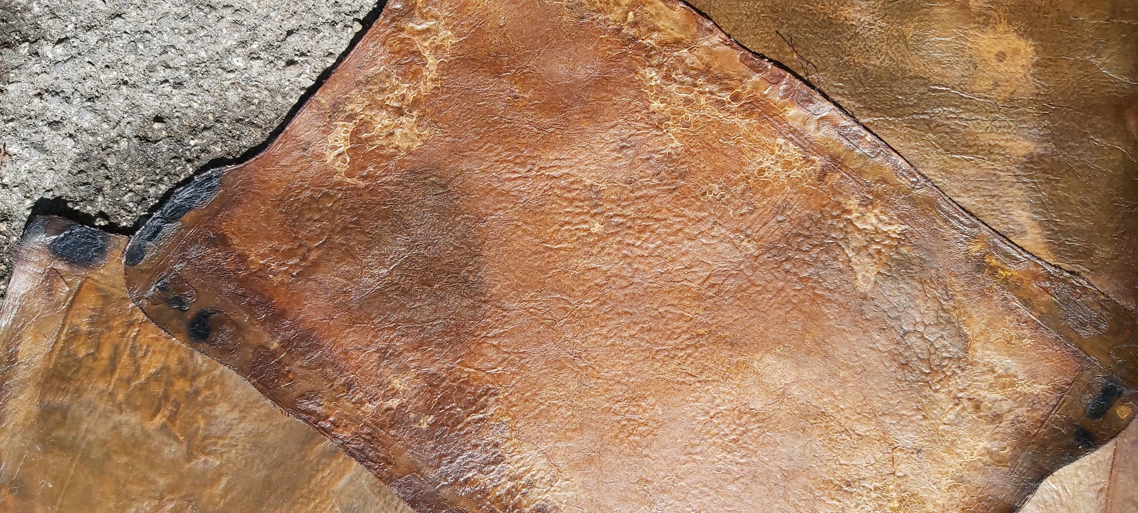 Grown leather from mother yeast: invention of HER