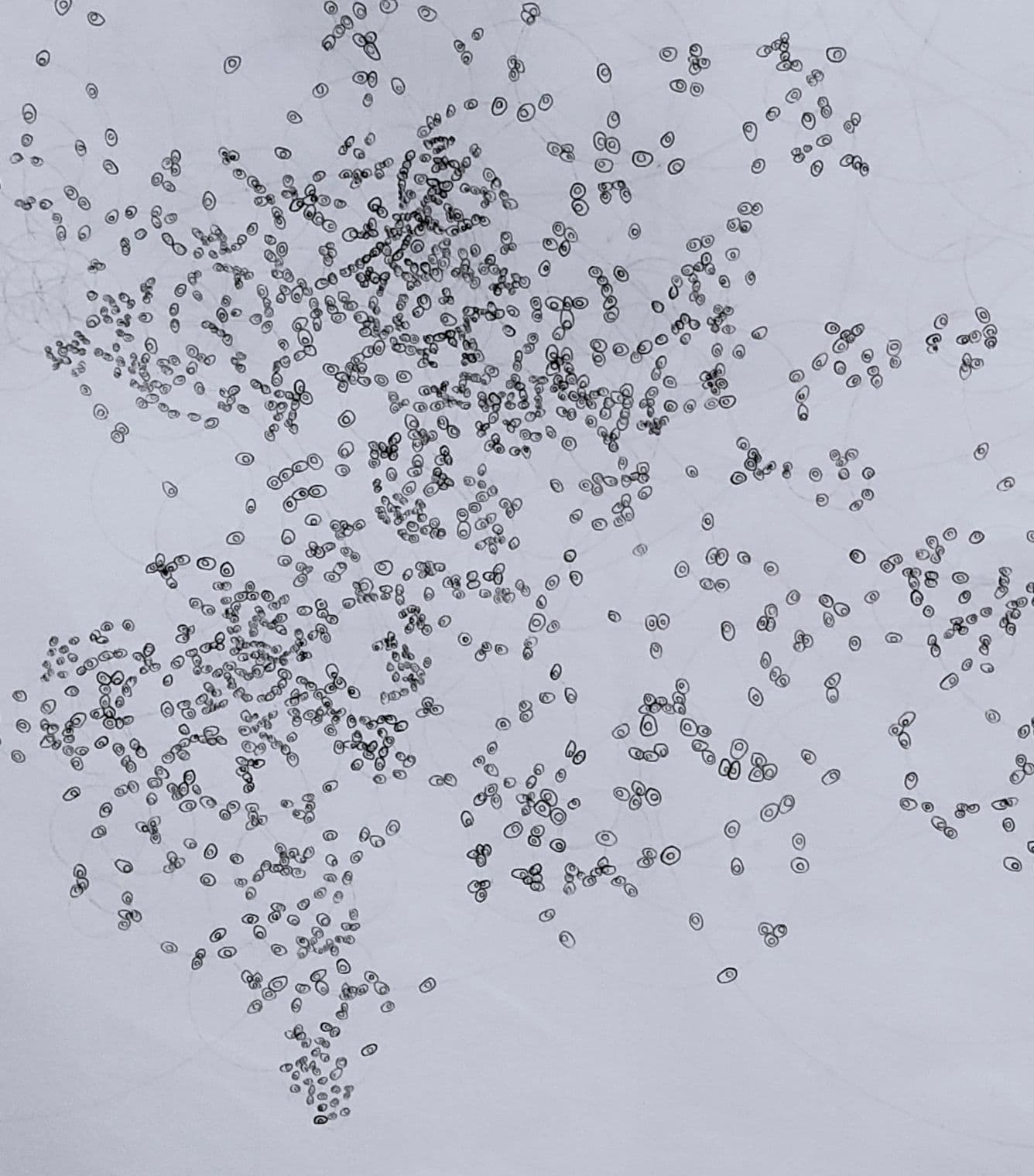 Pansimbiotic with attempt to answer the question "What if we acted like fungi, like a big organism composed of many individuals?" by Anna Handick