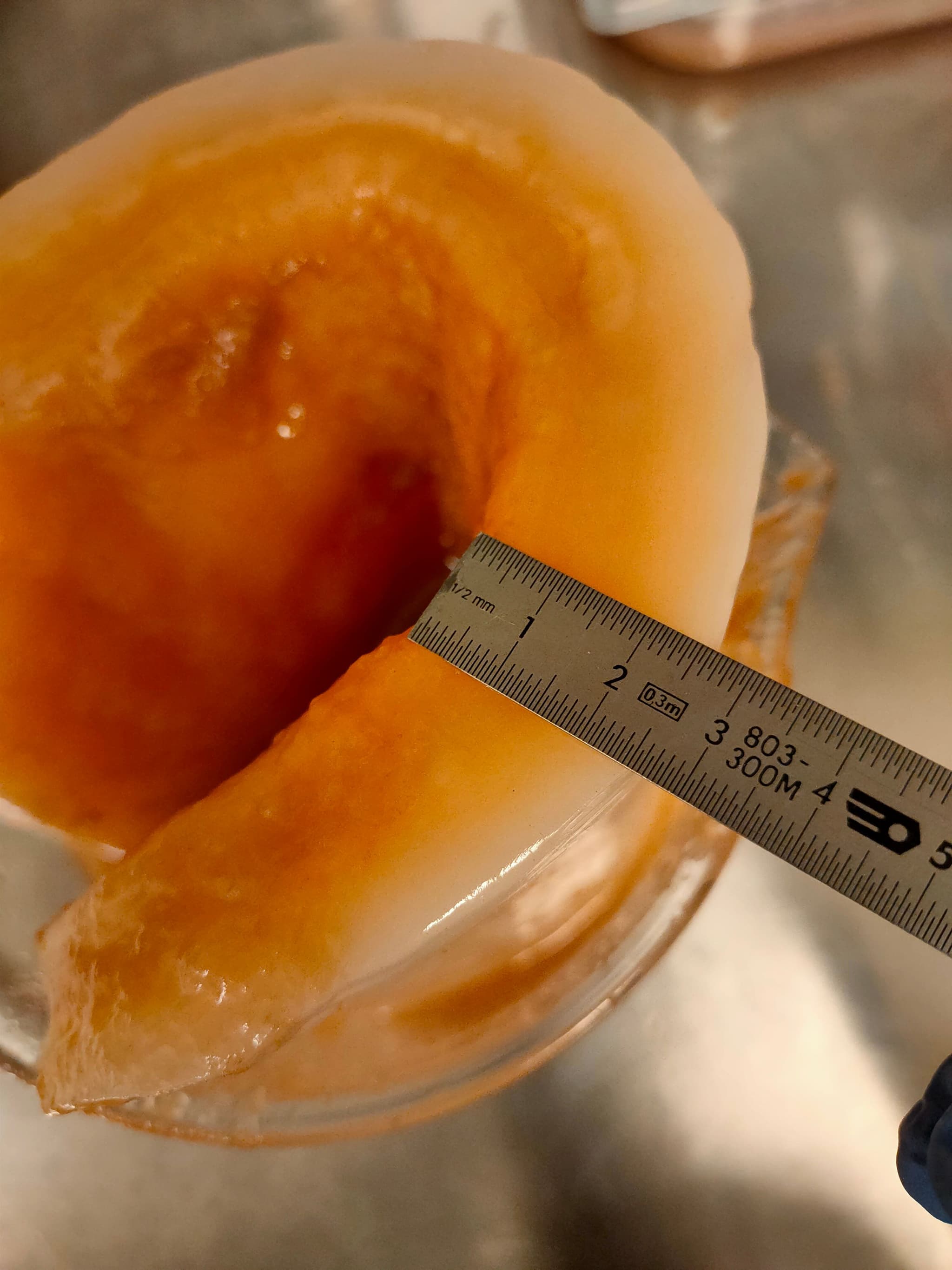 Presents images illustrating the optimization research conducted on bacterial cellulose yield.