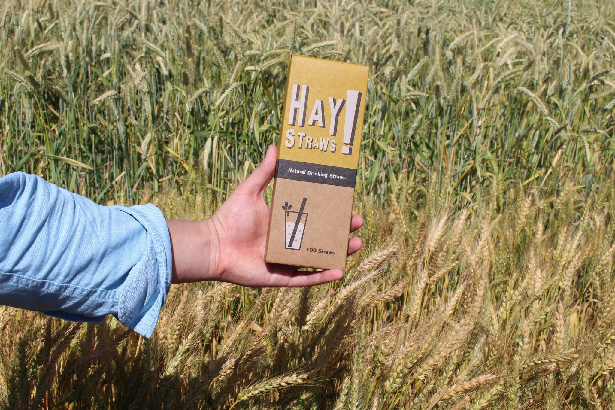 HAY! Straws are compostable, have no additives and break down in 42 days.