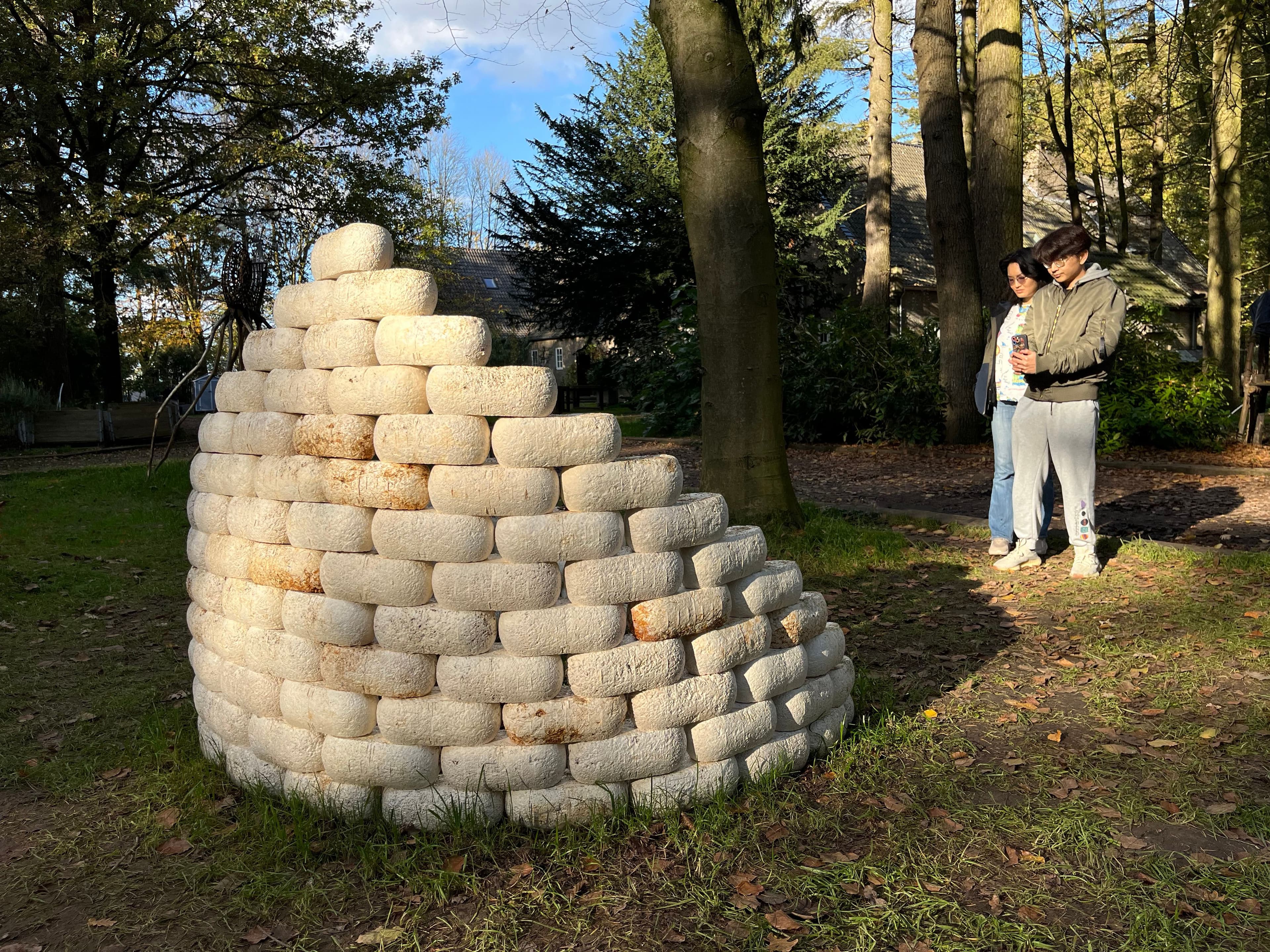 Beauty and the Brick: From Kitchen Scraps to Mycelium Bricks with Catinca Tilea