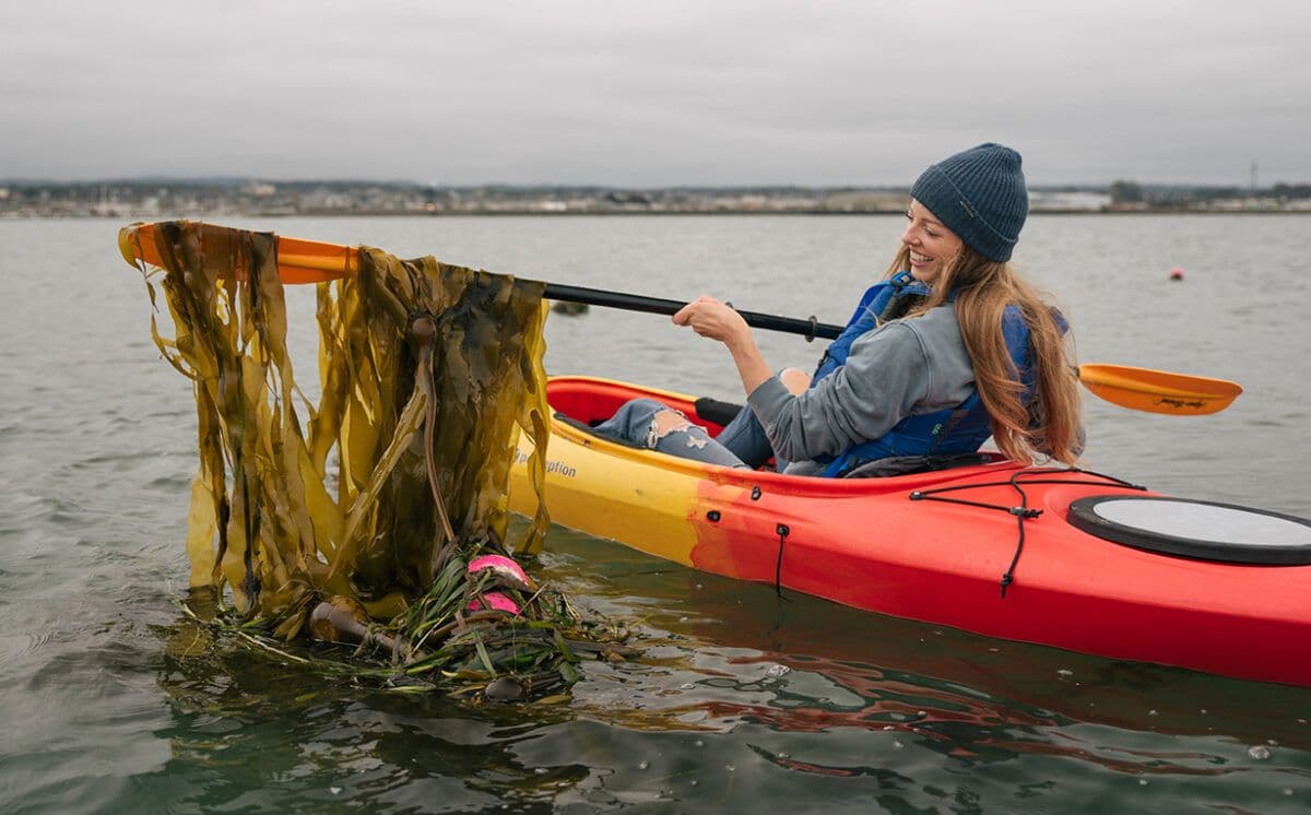 Julia harvesting seaweed from a coastal farm—illustrating their sustainable sourcing