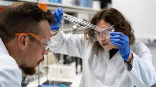 Kelpi’s lab (Source: UKTN)