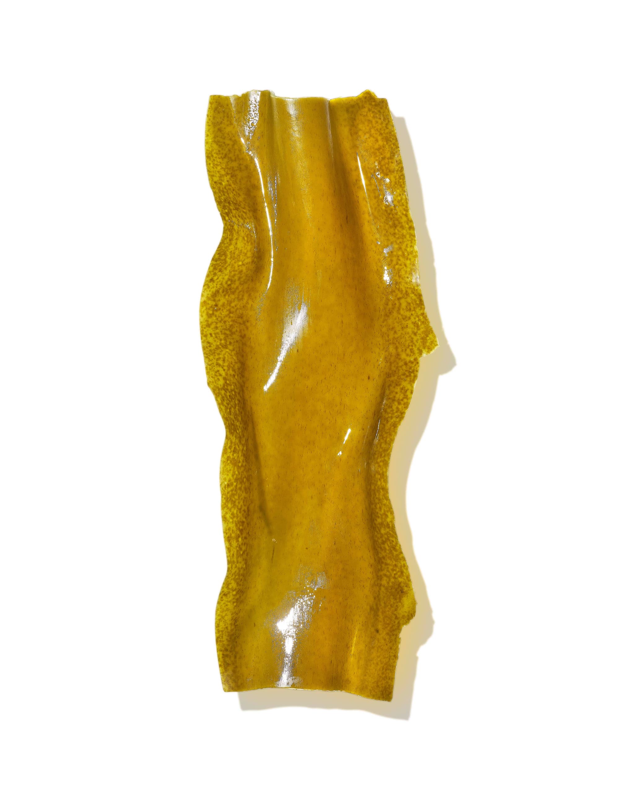 Kombu seaweed, one of MASAMI's ingredients