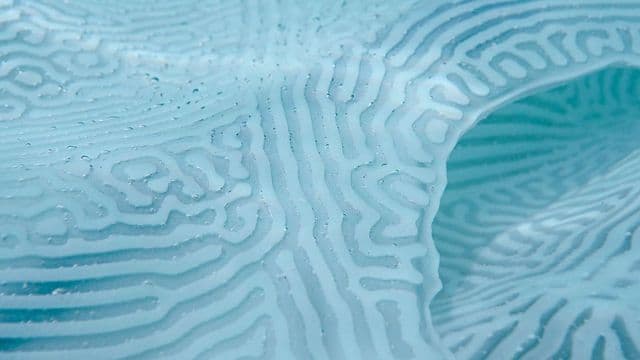 The material breathing