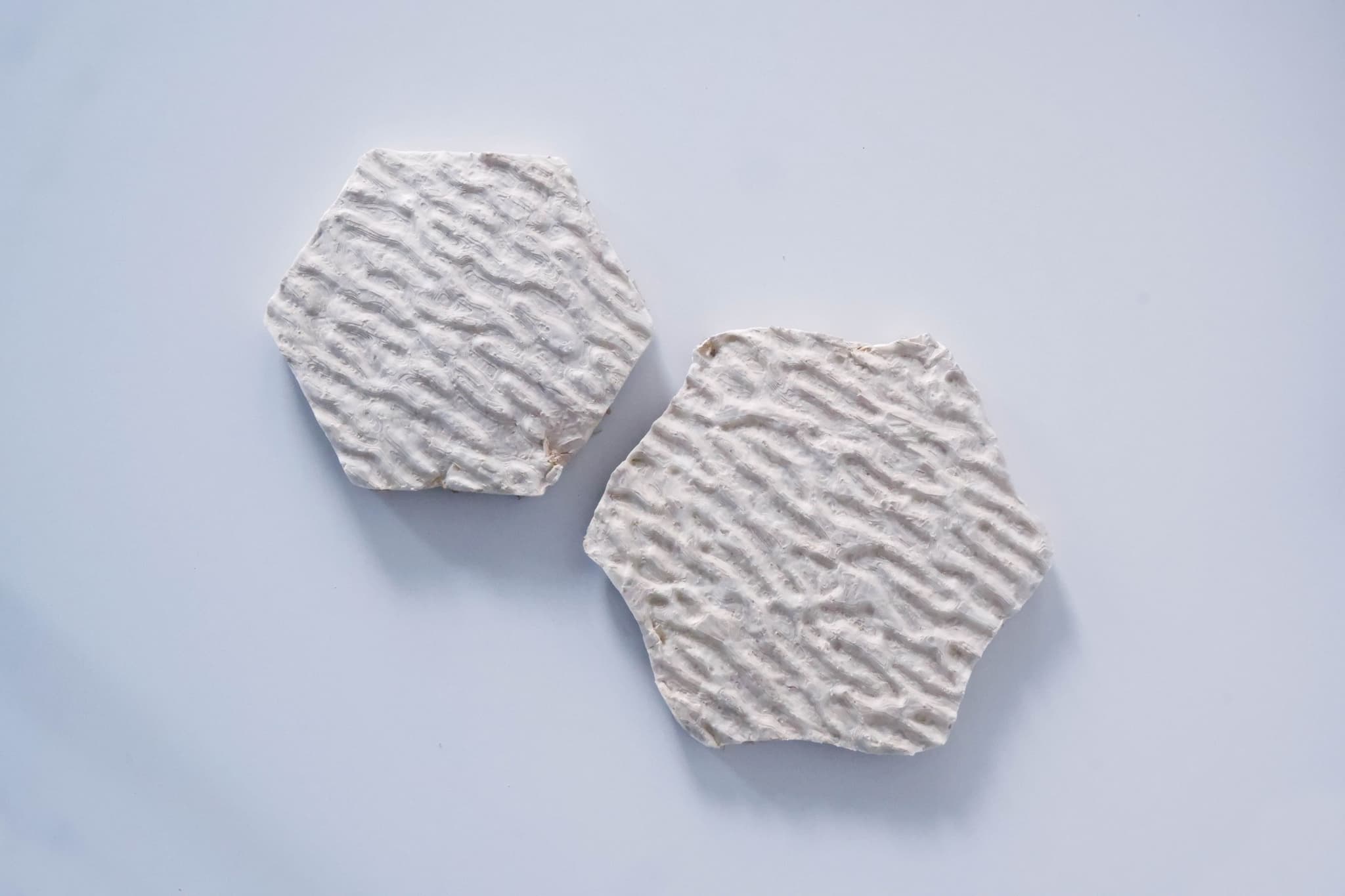 Mycotiles - learning making with Mycelium, Arch 754 Materials – Fall 2023. Students: Sania Ahmed & Hein Thant Htoo.