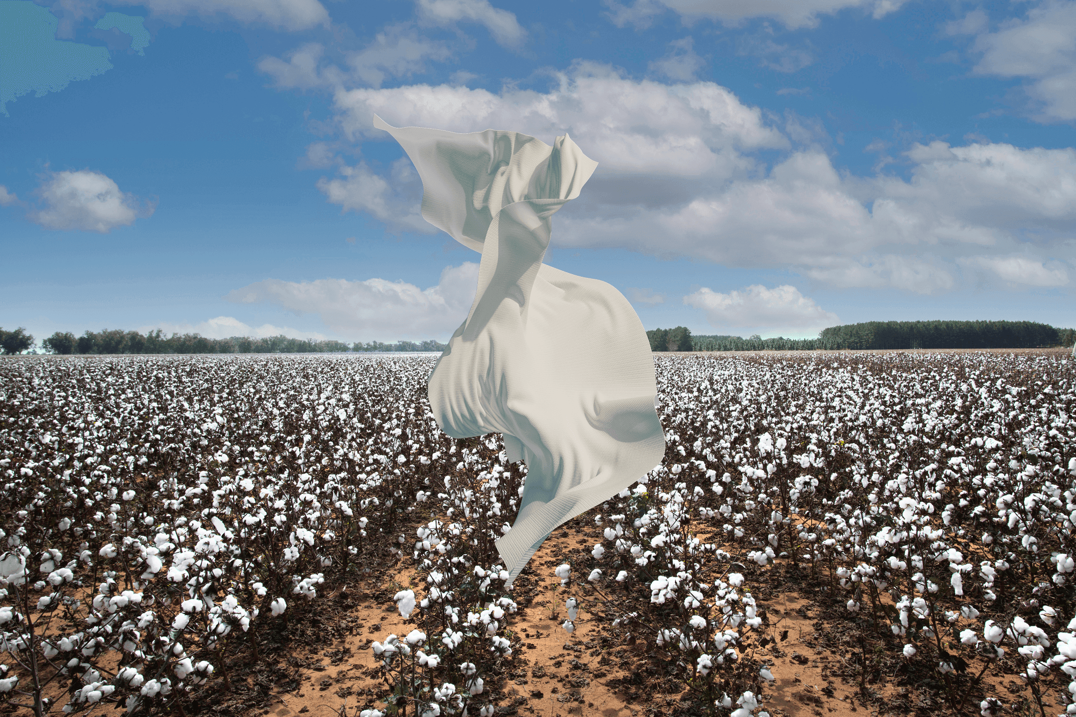 Plastic-free performance materials from NFW