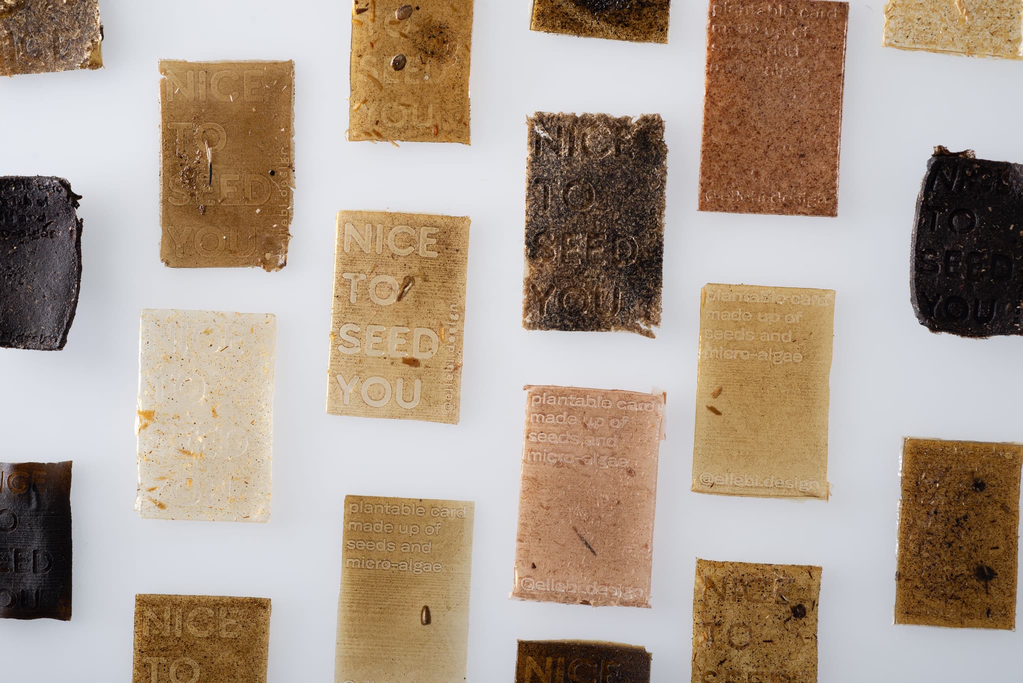 "Nice to seed you" - samples by Laura Bordini