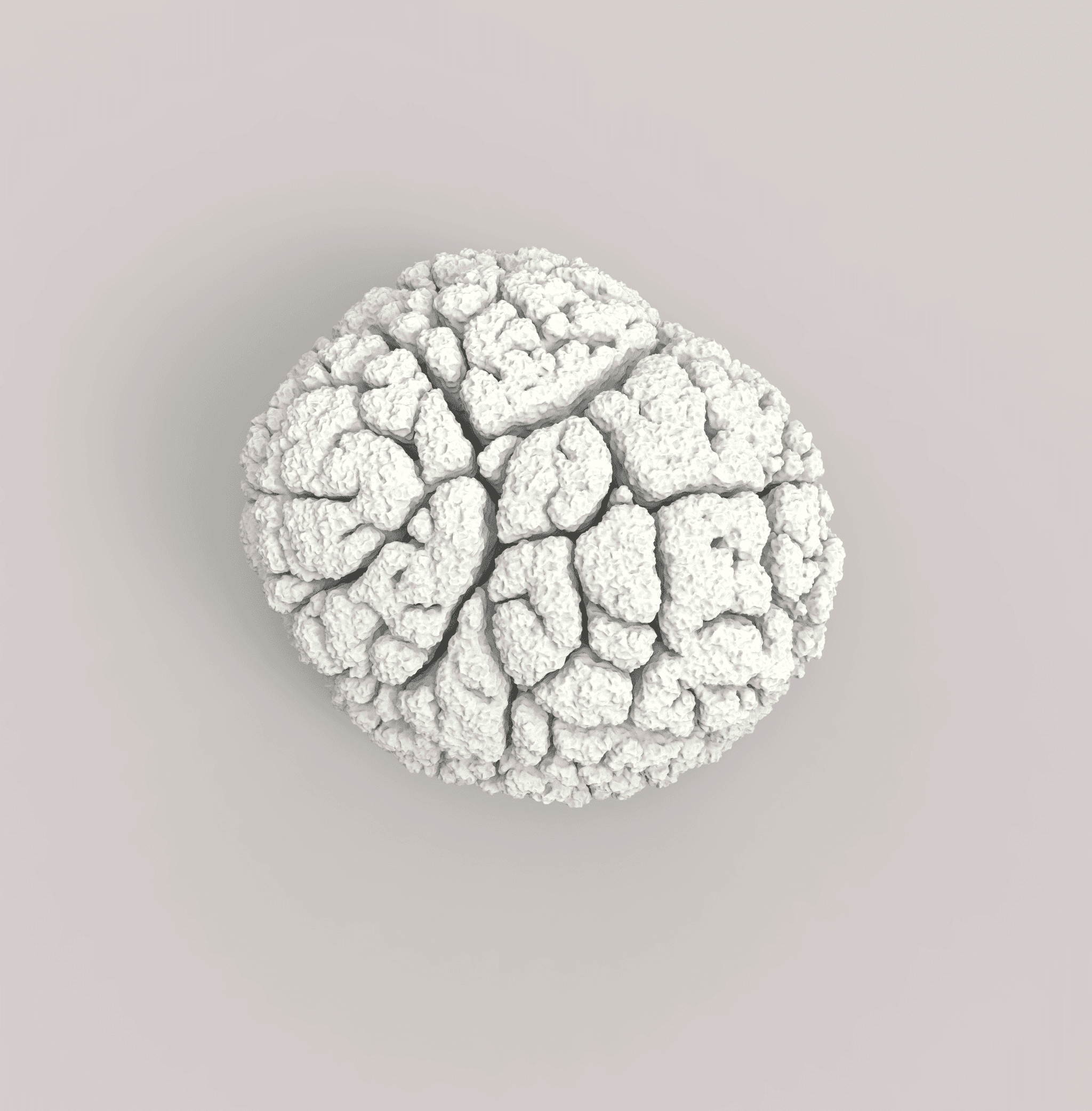 3D Growth Simulation Project