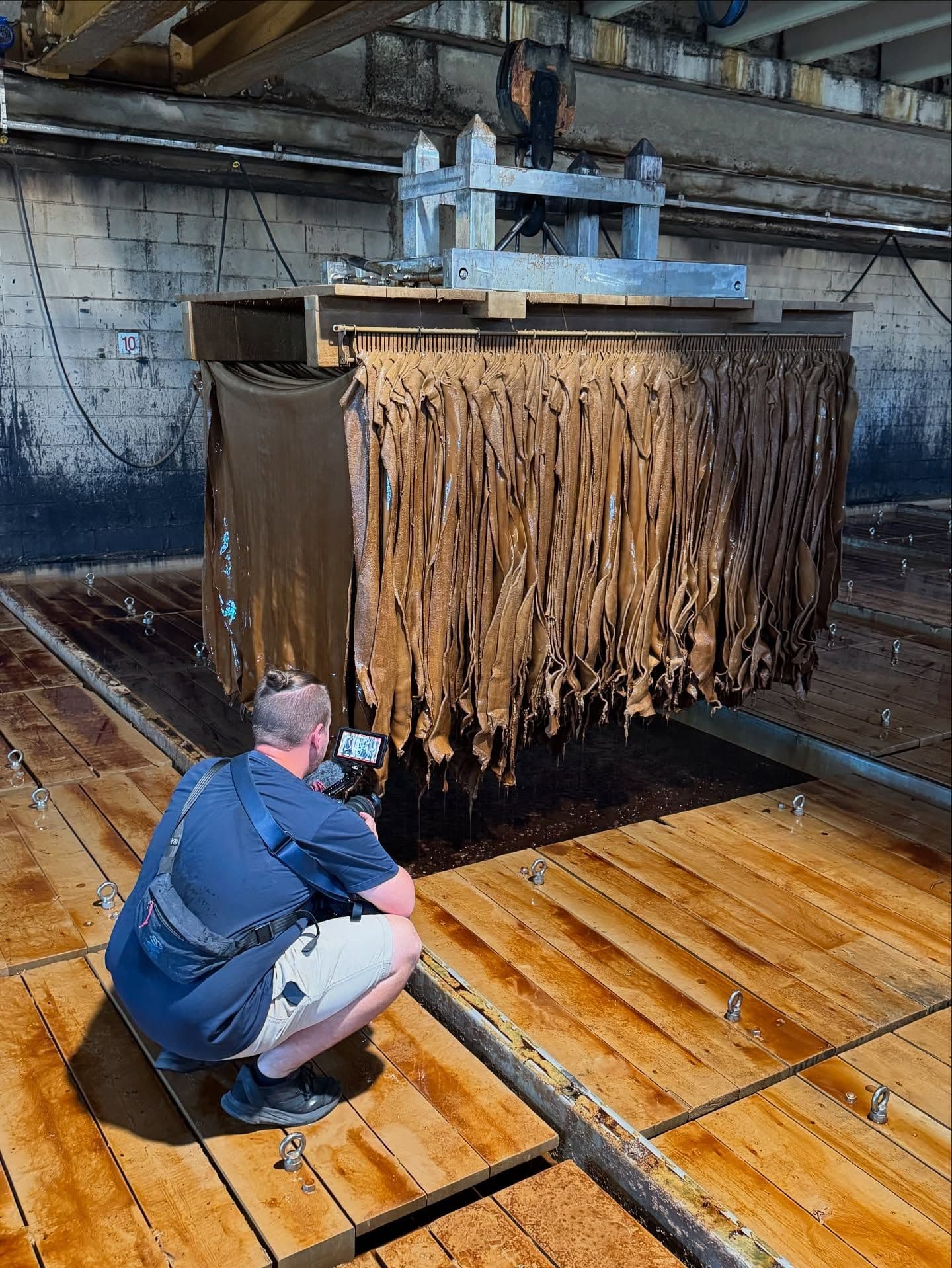 Olivenleder® Making Process