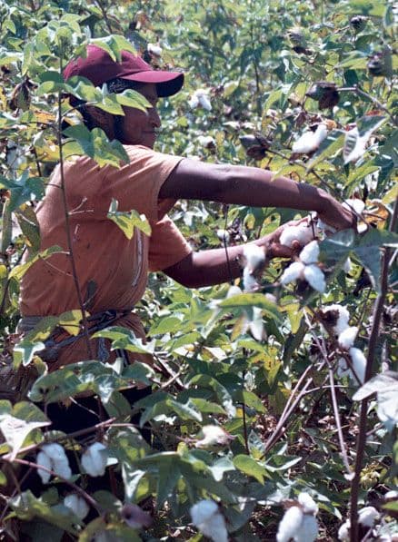 INMAKULATE is not just a brand - it's a testament to the transformative potential of sustainable practices.