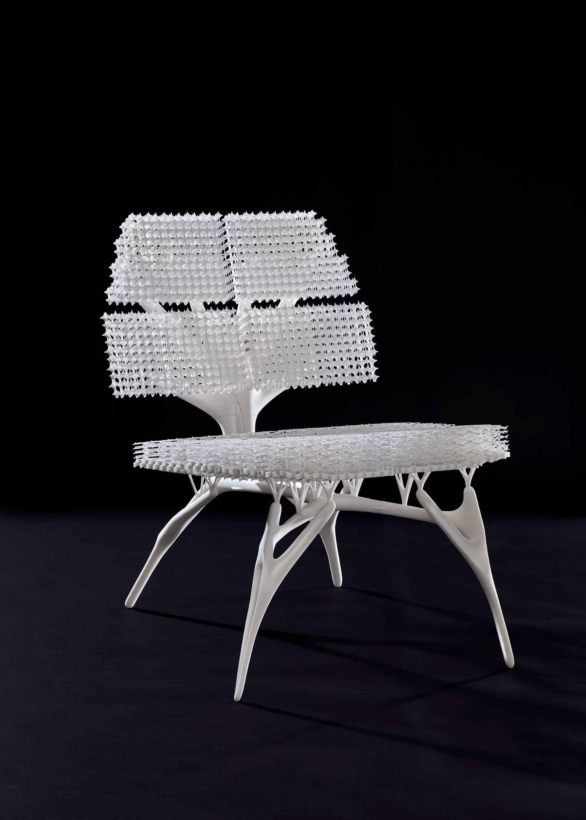 Radiolaria chair by Lilian van Daal.