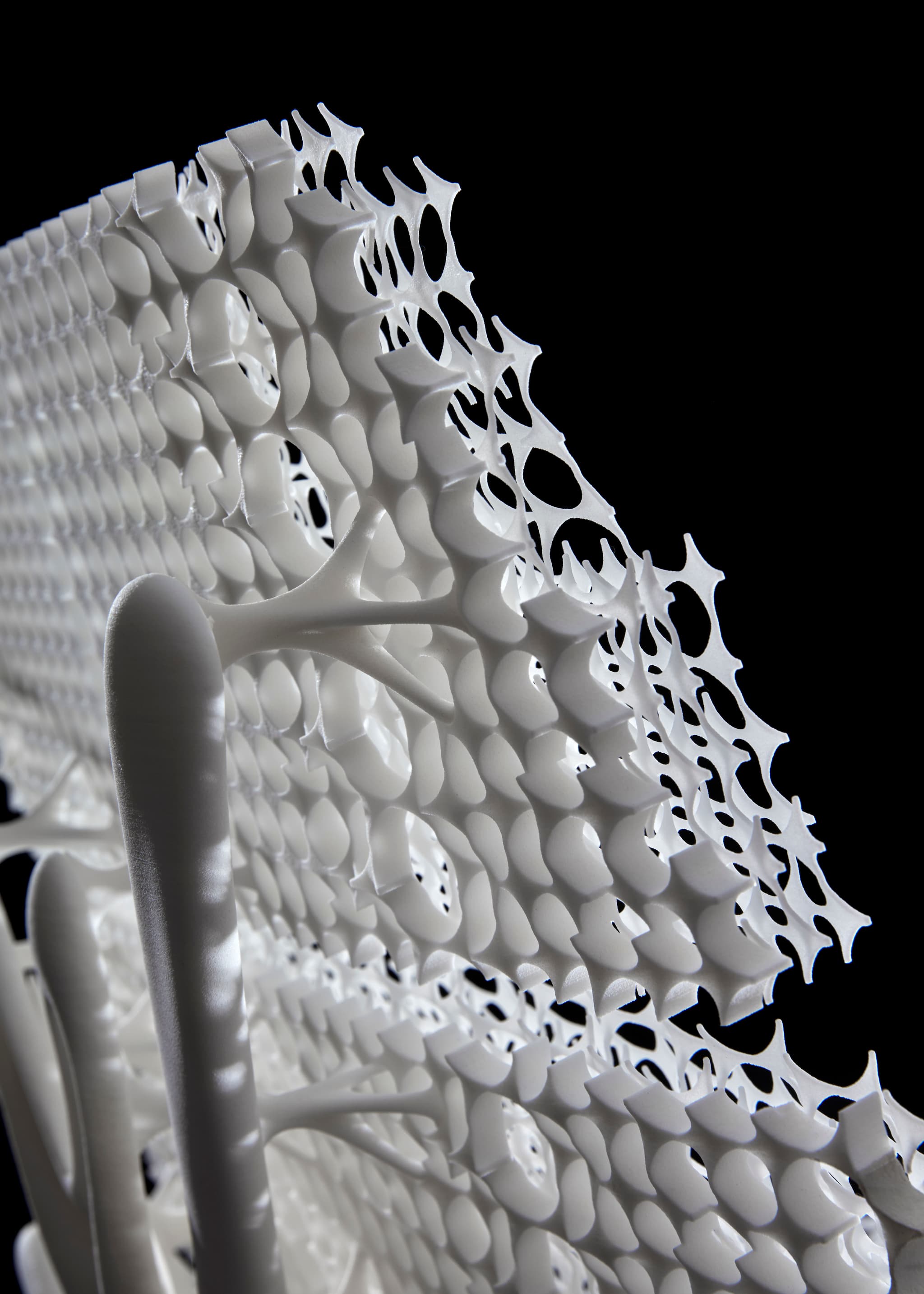 Radiolaria chair by Lilian van Daal.