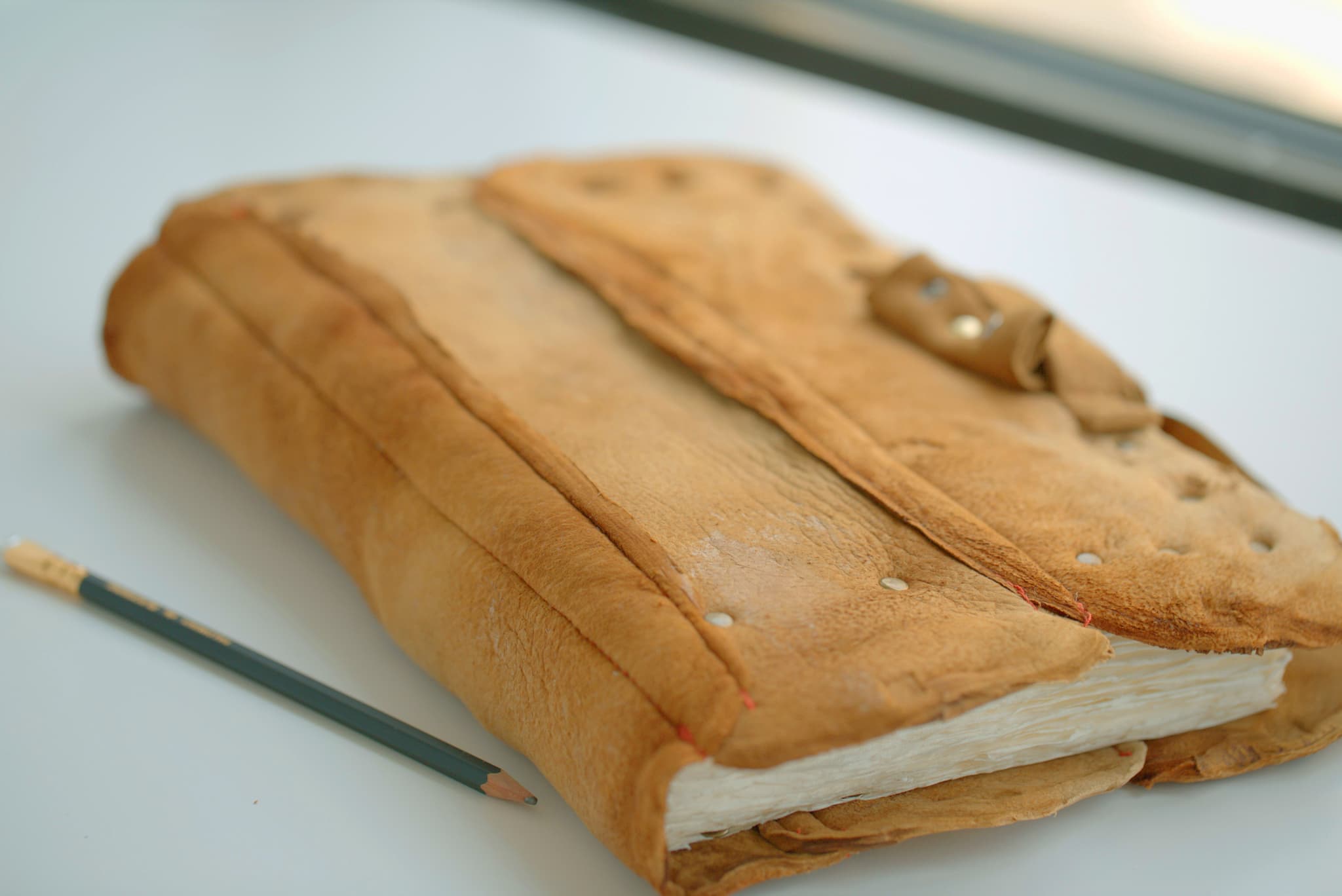 Sasha Grafit's book cover