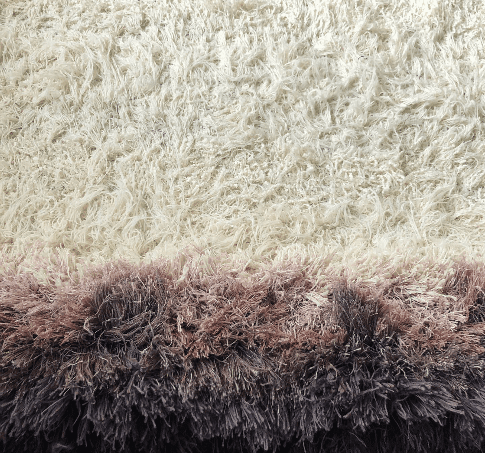 Creation of Salem van der Swaagh