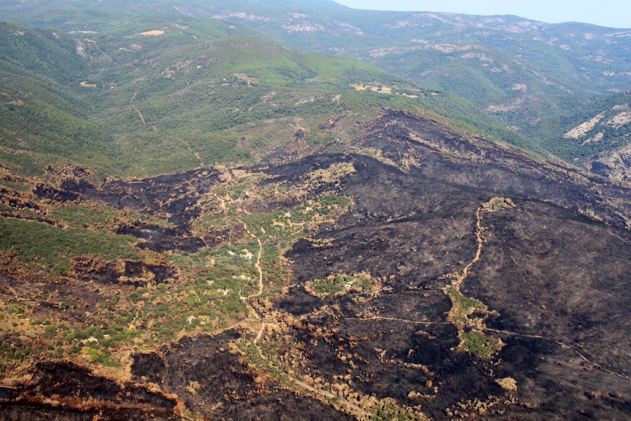 Massif des Maures (France) after the forest fire