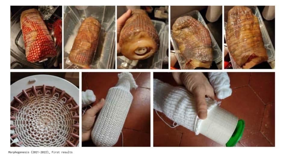 The system involves a bioreactor and associated processes designed to combine textile knitting with 3D shaping for cultivation. While shaping is possible without the textile, I found in initial trials that utilizing an existing cellulose structure significantly facilitated the adherence of the bacteria to the surface.