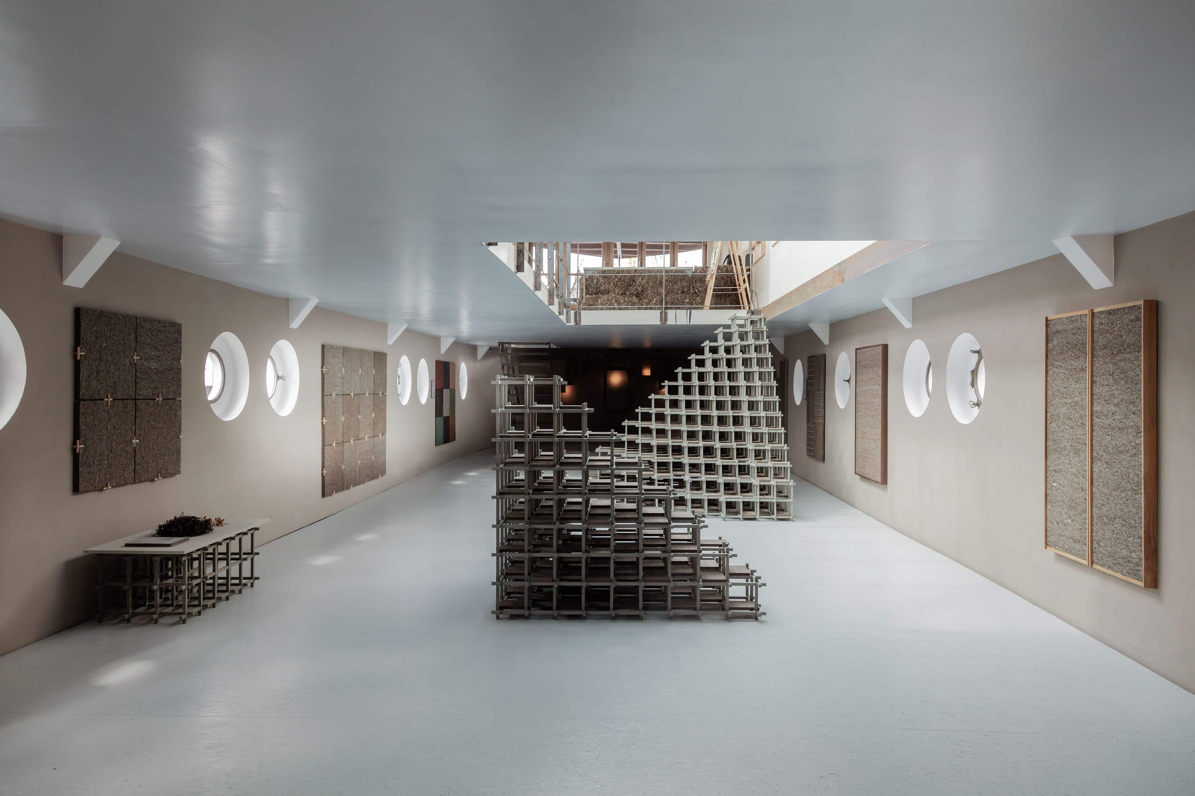 From Danish Shores to Acoustics: Søuld’s Eelgrass Journey