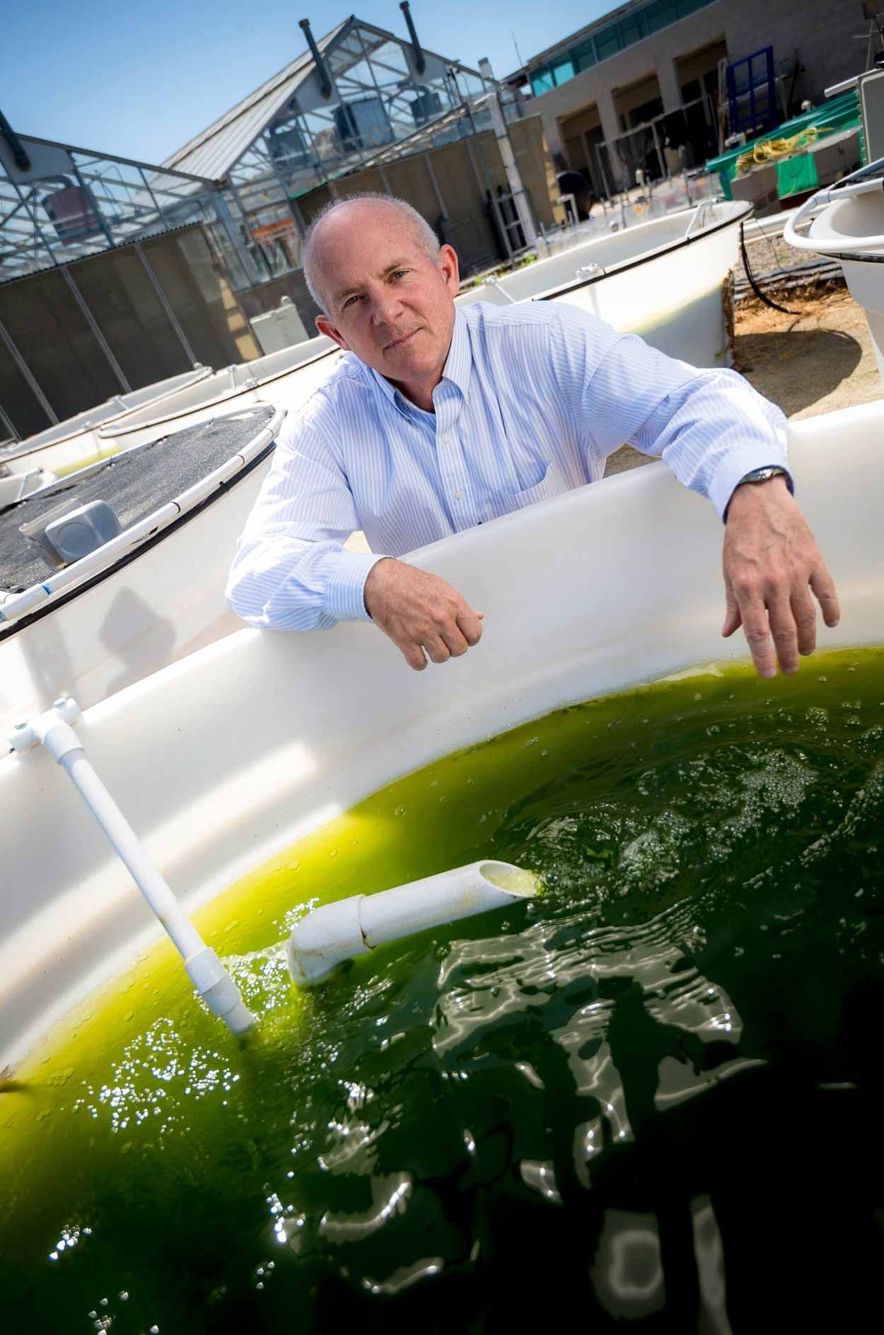 Stephen beside algae cultivation tanks at UC San Diego, demonstrating his background in algae biotechnology