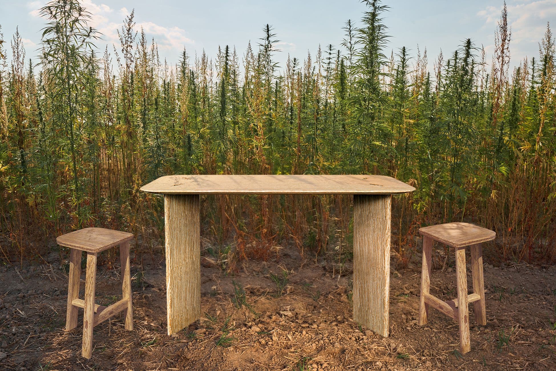 The True Green x Husarska Design Studio: pieces of furniture made from hempwood (Photo: The True Green x Husarska Design Studio)