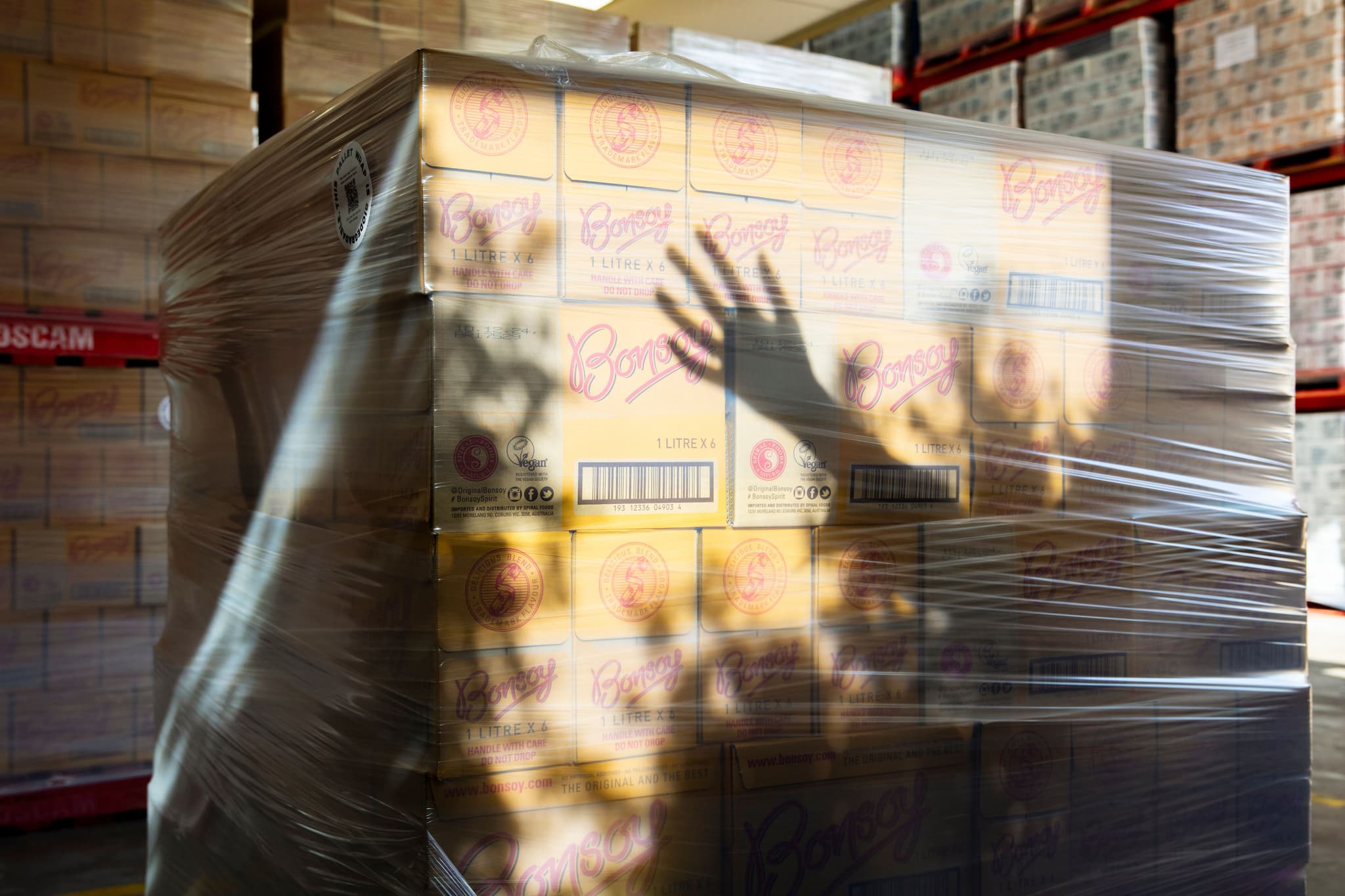 Two certifications Great Wrap holds are our B Corp certification and compost certification