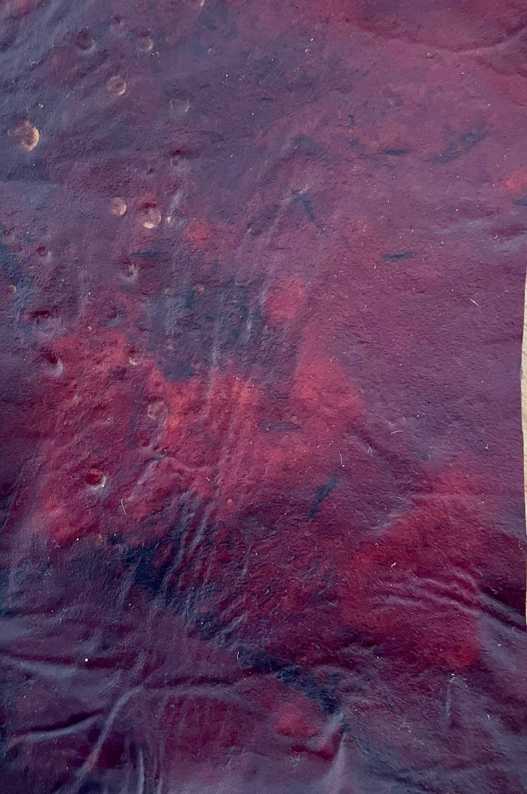 Mycorium uses pomace from vineyards as a feedstock for their bioleather.