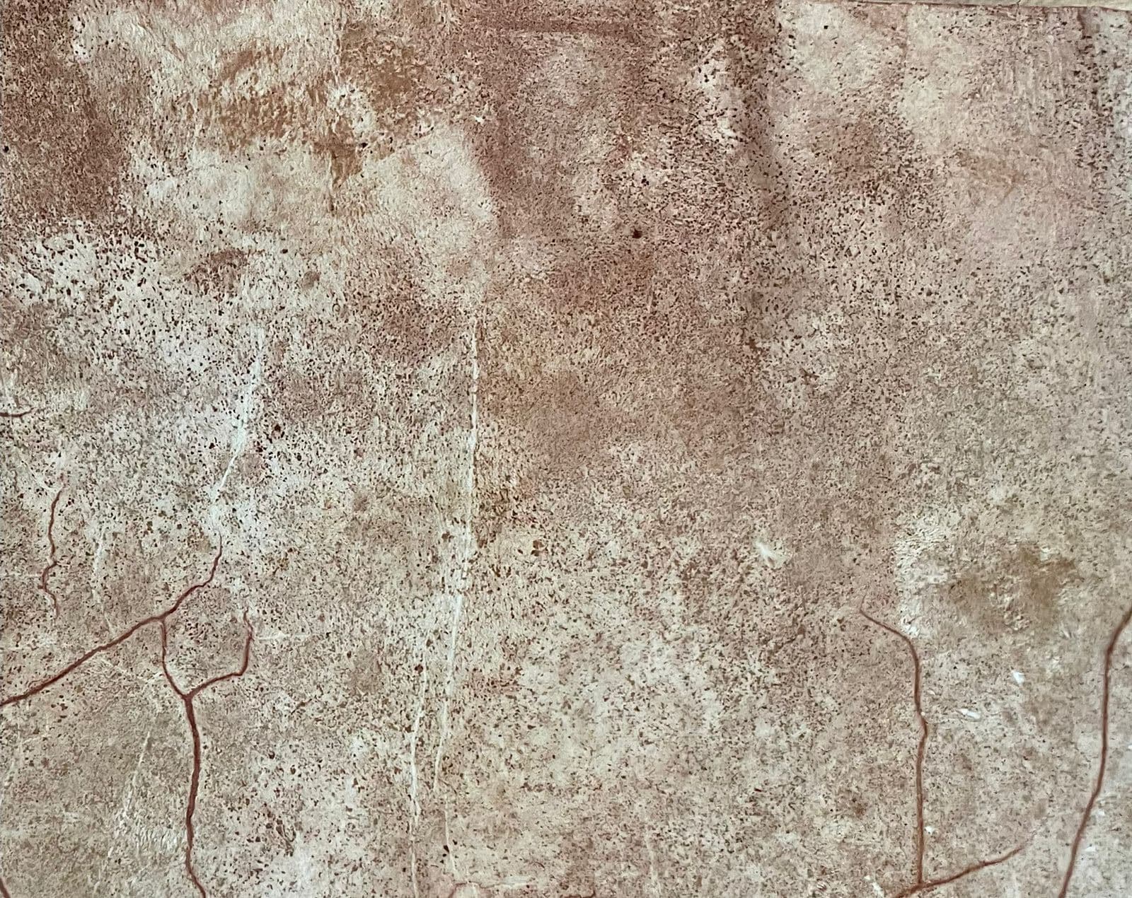 Mycorium Biotech: Mycelium leather for mass market