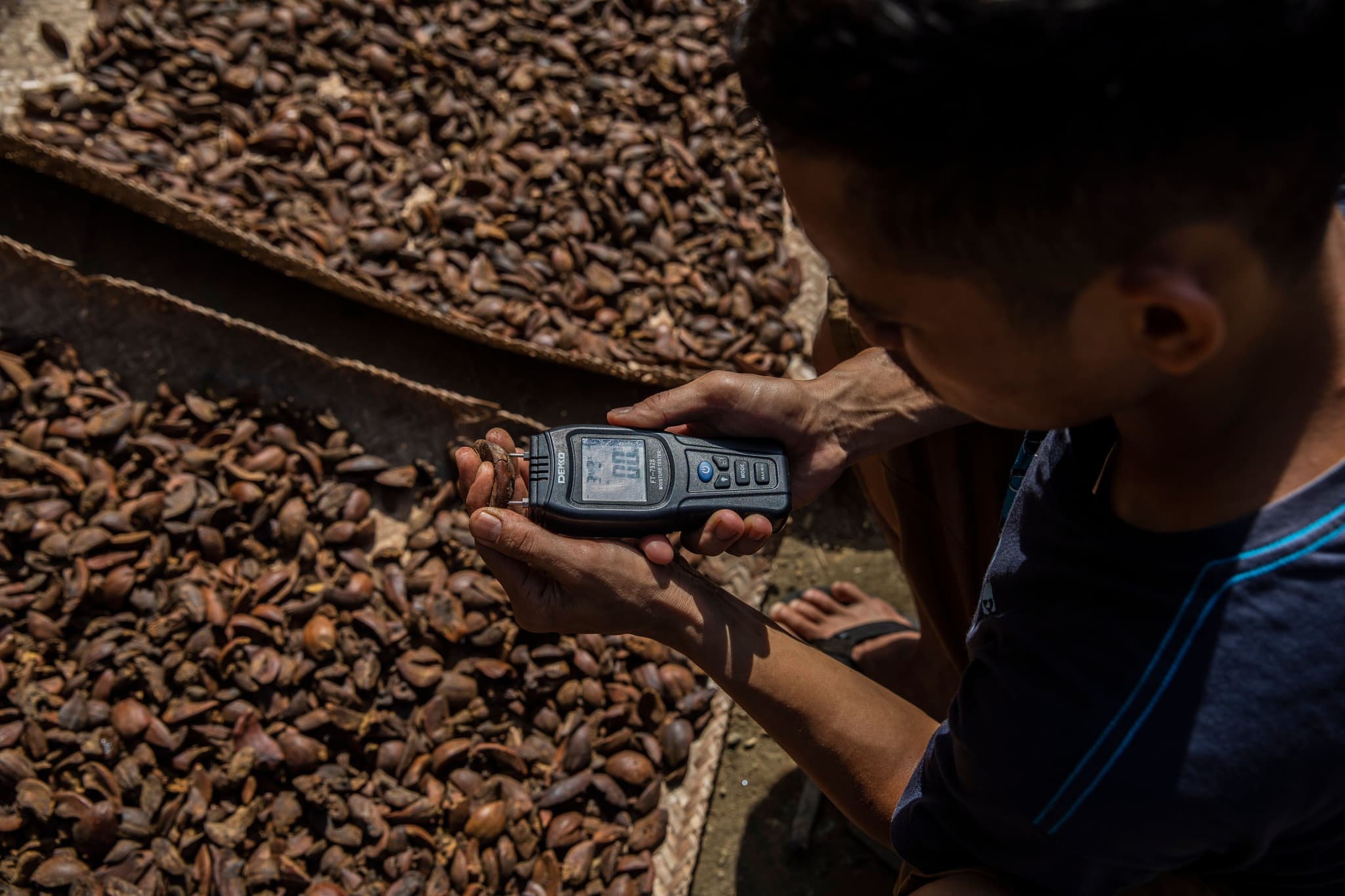 To sustainably produce illipe butter, we have introduced a system of sun drying to replace the unhealthy practice of smoke drying that was used before.