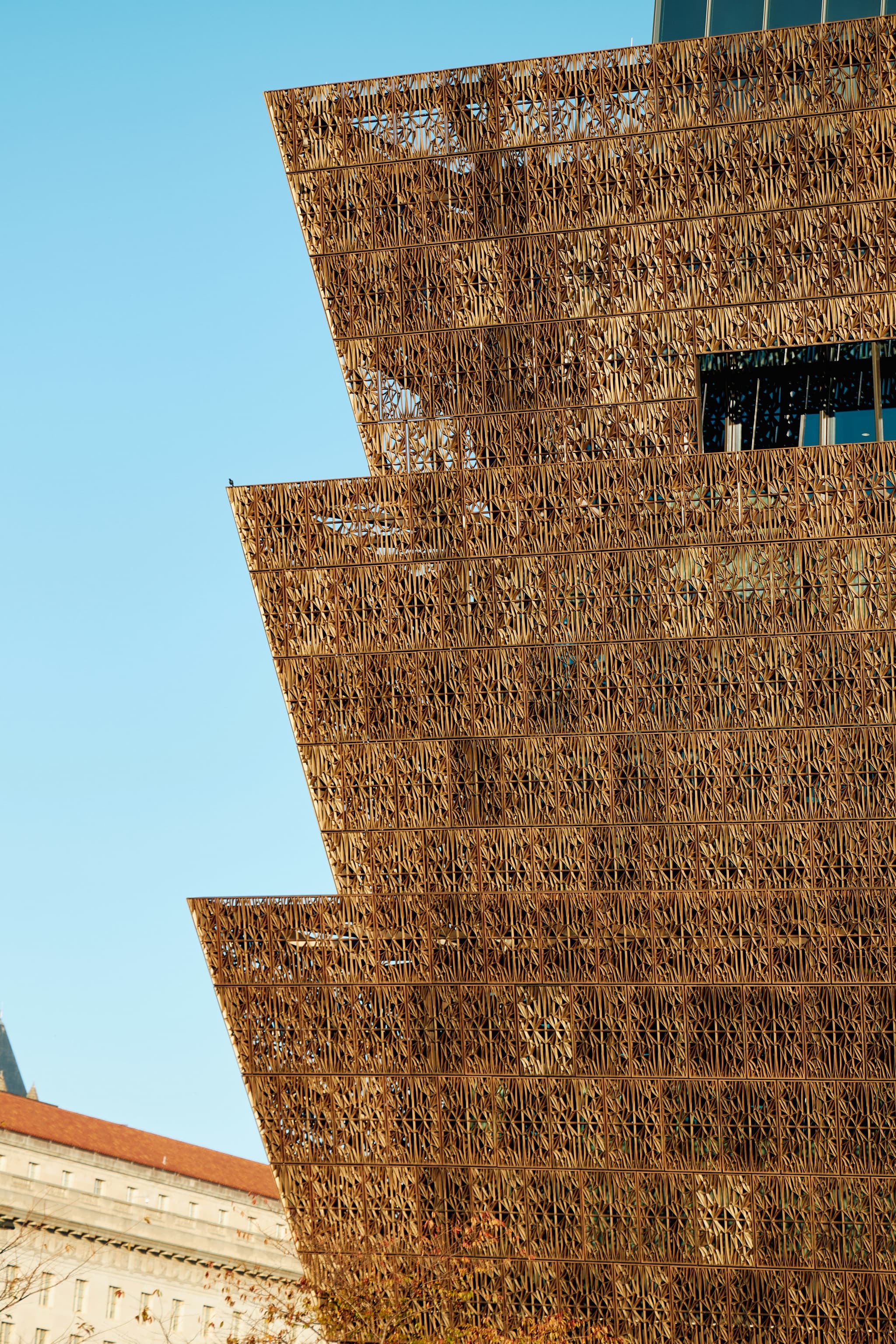 Multistory buildings insulated with straw and timber-based materials are reshaping construction norms.