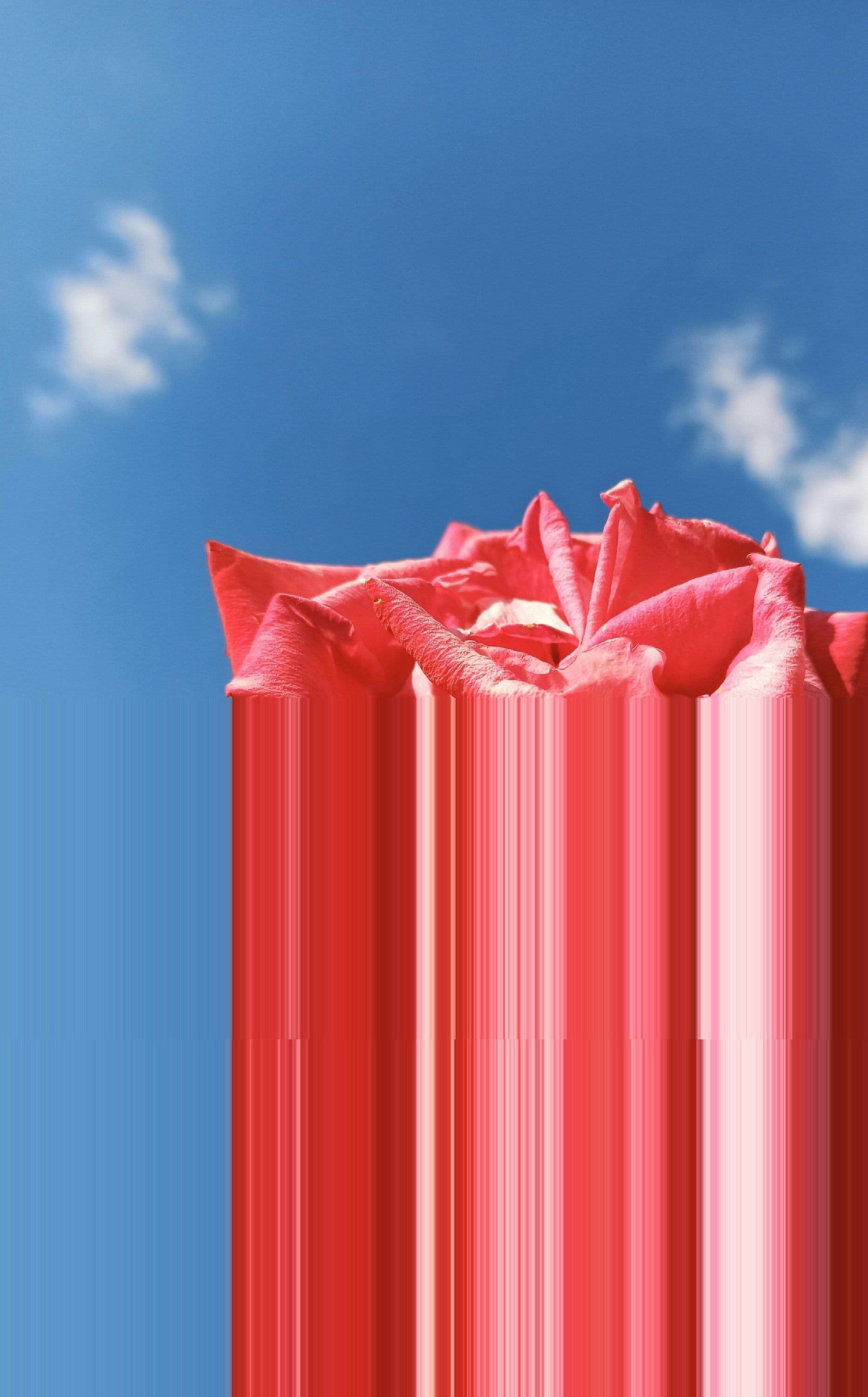5 Red Flags Hiding in Your “Sustainable” Packaging Story