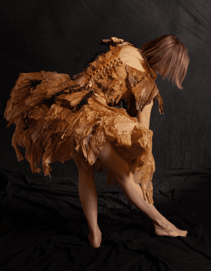 Creation of Seaweed/ Photocredits: Francois Eyck and Lies Vogelzang