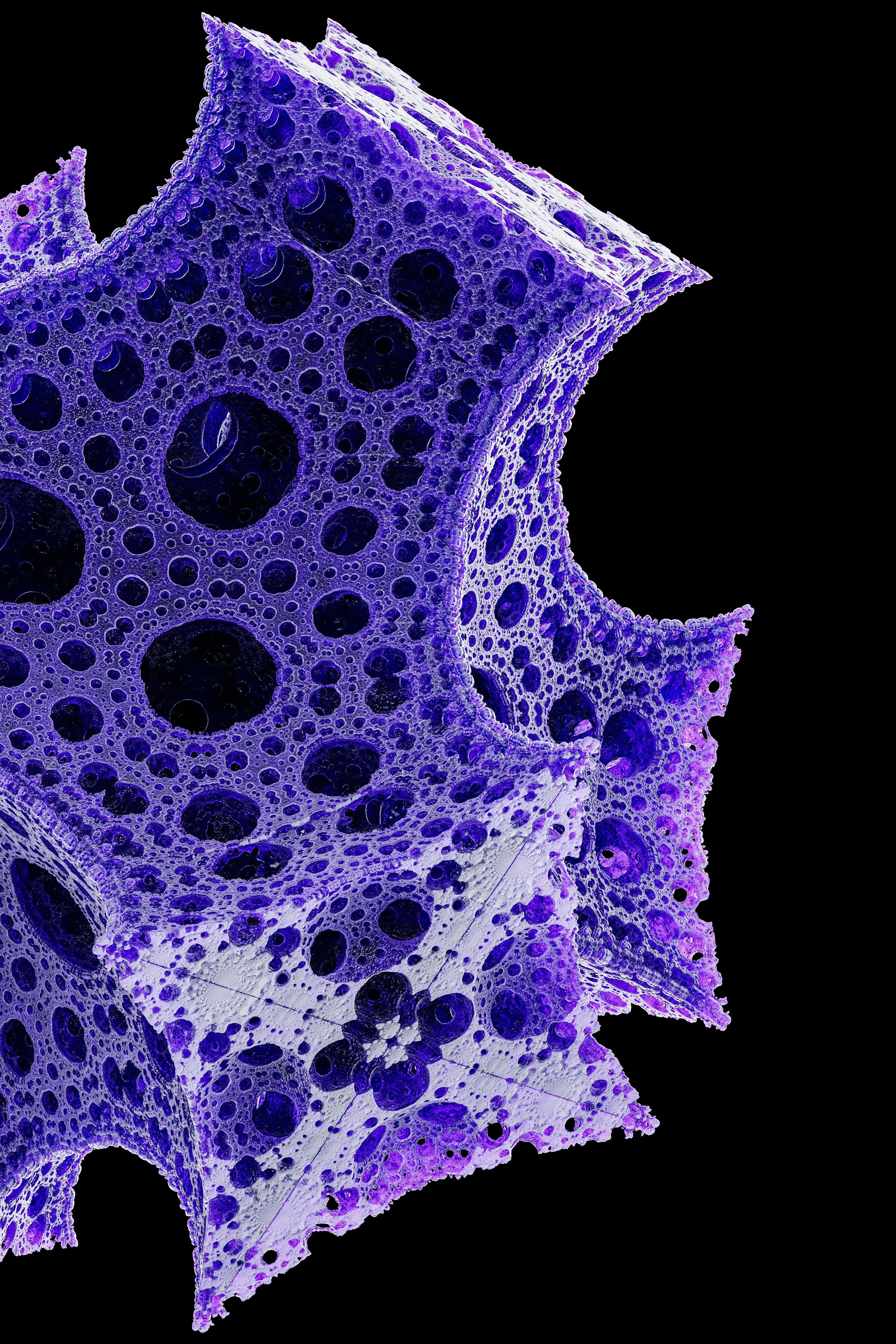 Tocco Report: BIO-ECONOMY 2025-2026 EDITION