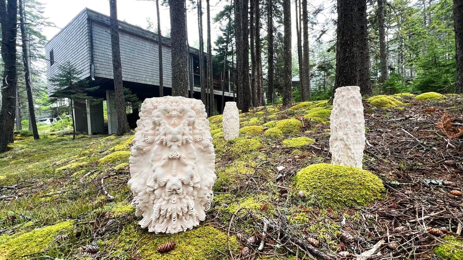 Real-World Applications of bioMATTERS' Biodesign Innovations