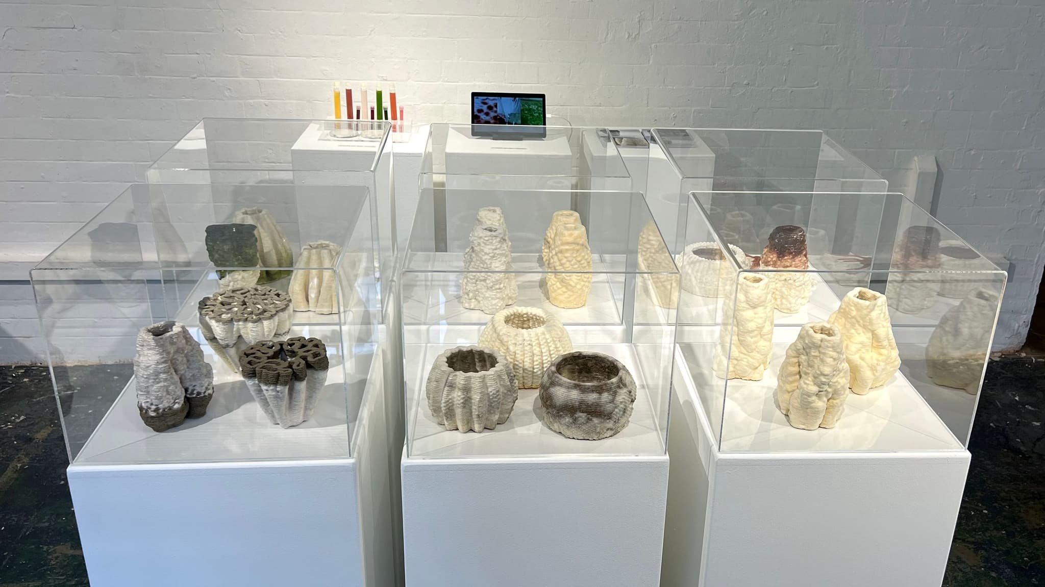 bioMATTERS Collection