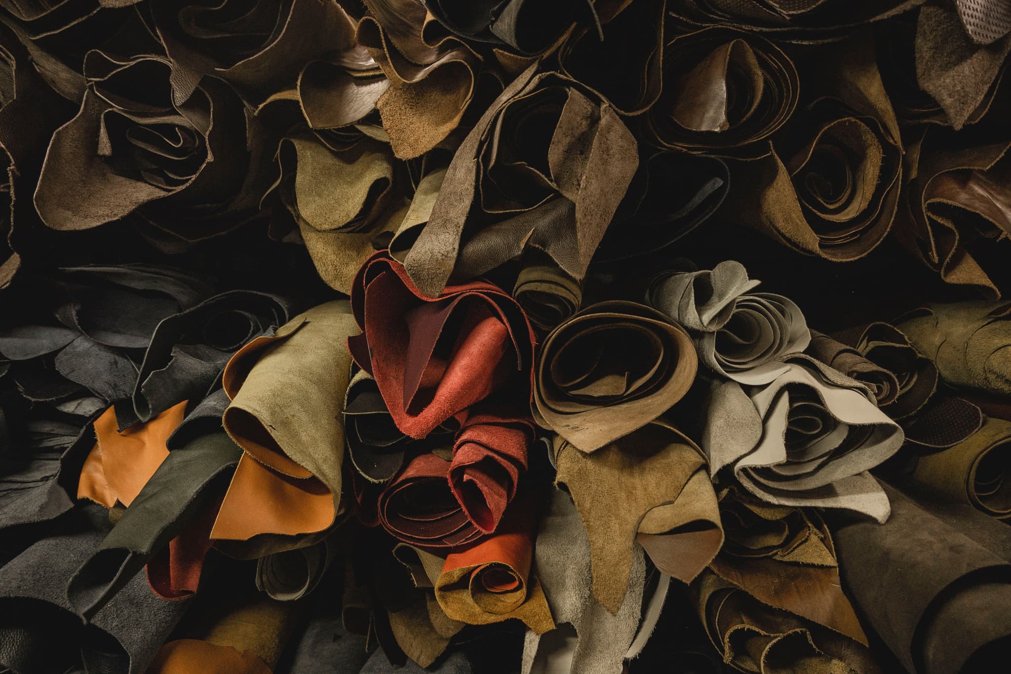 Bio-based leather alternatives have emerged as a promising solution.
