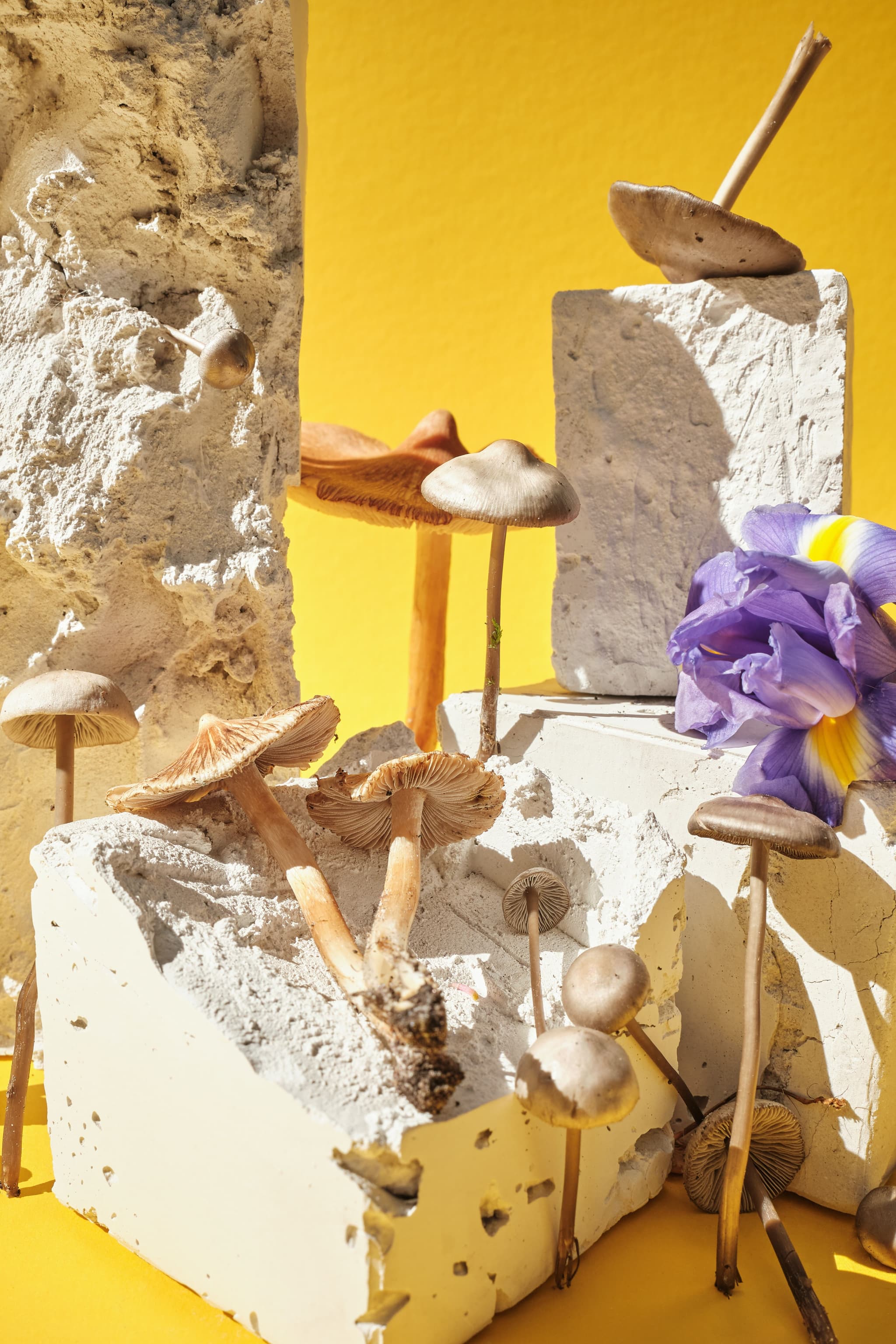 While the term 'plastic-bio-leather blends' does apply to some bio-based leather materials, it overlooks the range of materials and manufacturing processes that contribute to the field's sustainability and innovation.