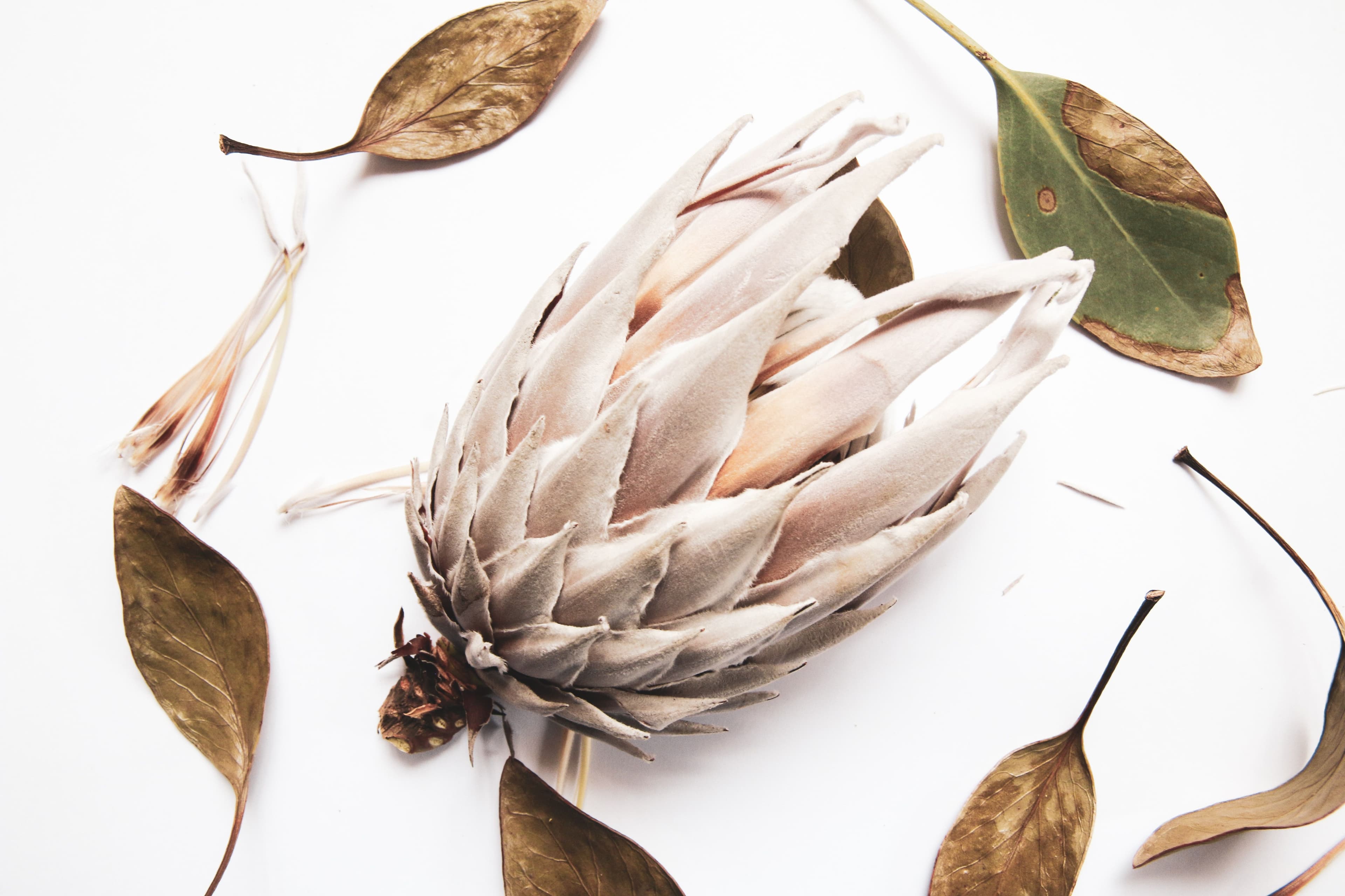 Materials from living things: embracing the biomaterial revolution