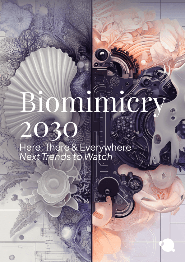 Glues & Adhesives 2030 Edition Report Cover