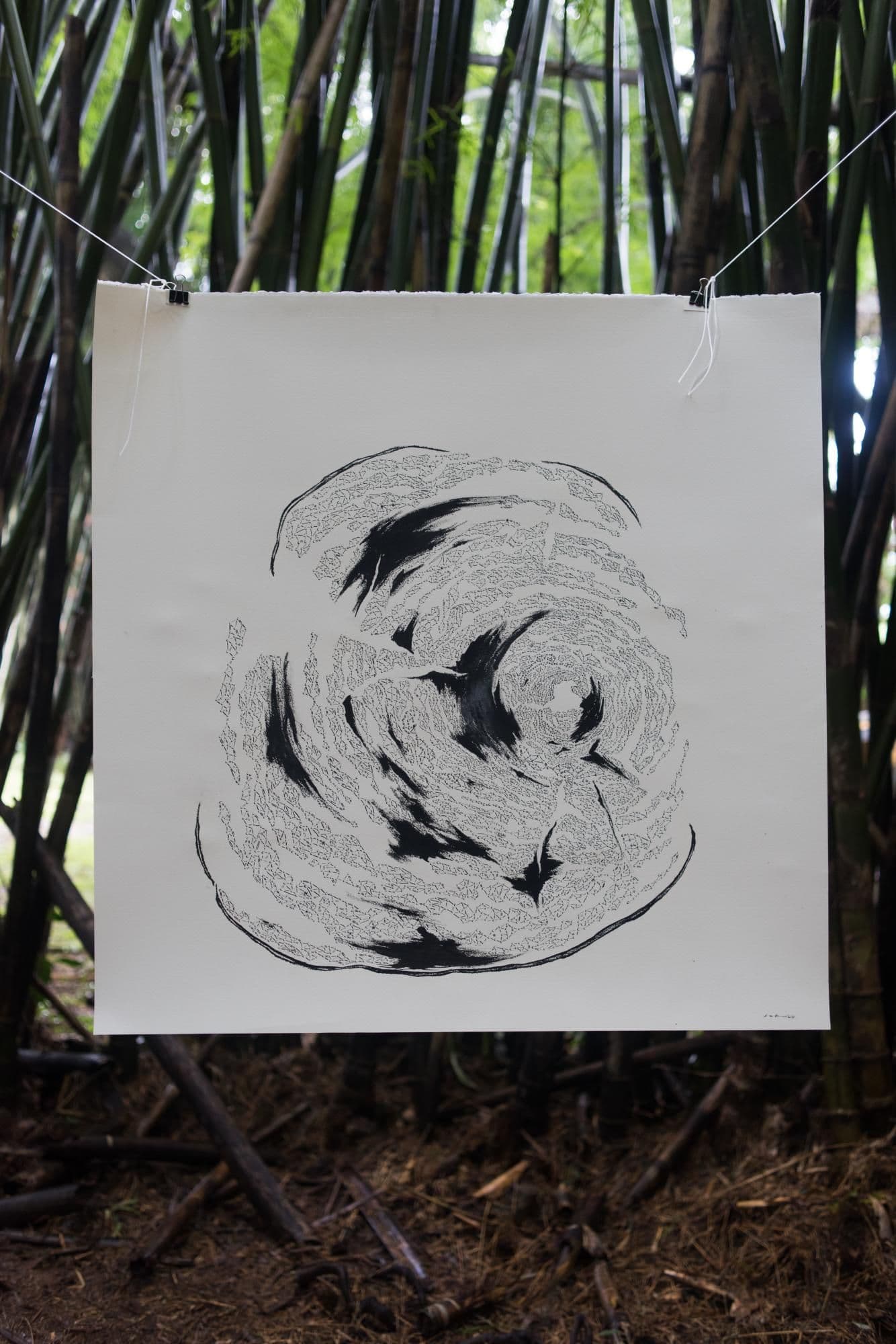 Carbono Juan Diaz - using carbon from mangroves to make ink for drawings, by Anna Handick