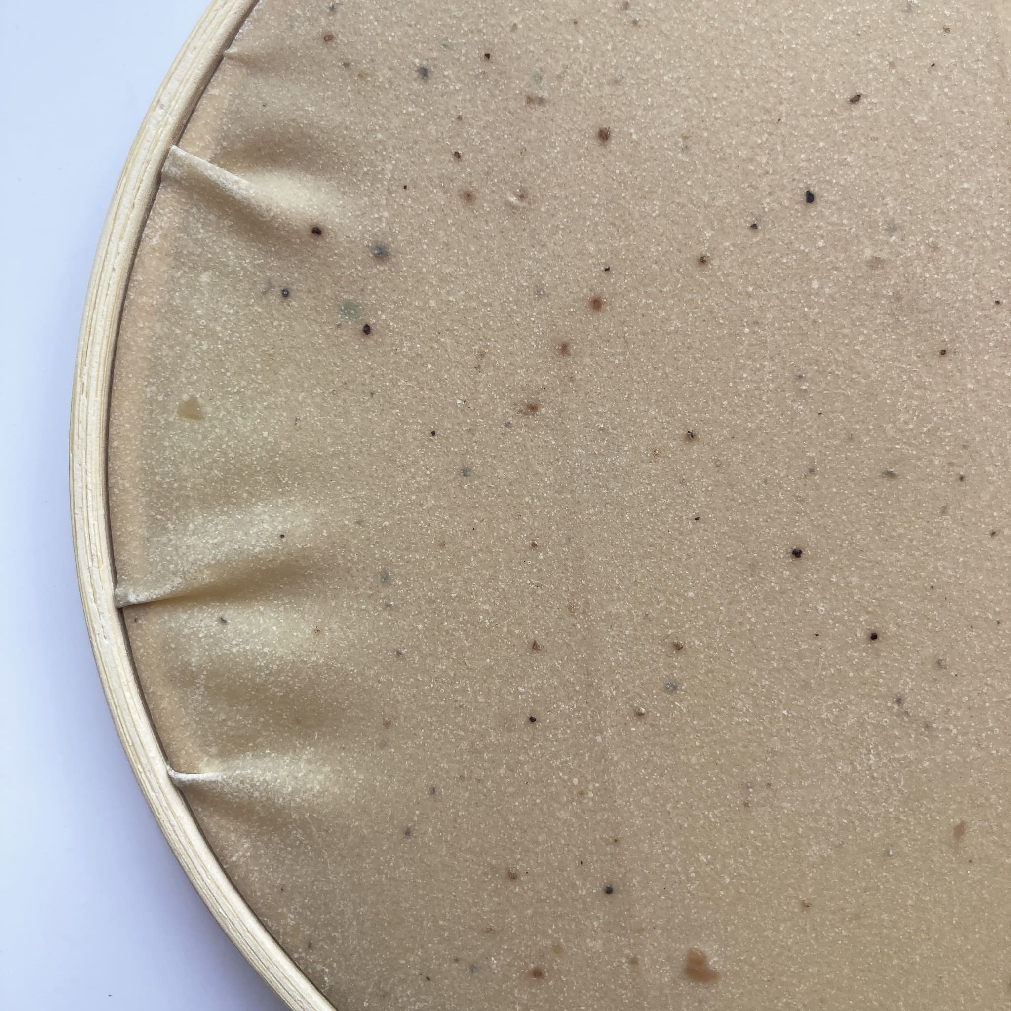 Details of Encicloderma by Davide Viggiano (Embroidery frame and biomaterial assembled)