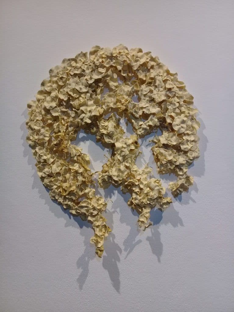 Faltan tus estrellas ("Your stars are missing") by Anna Handick