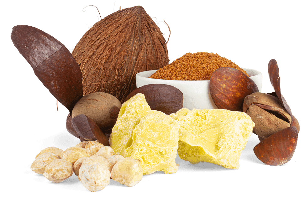 The company develops products made from rainforest ingredients that are sustainably harvested and help regenerate the rainforest in Borneo