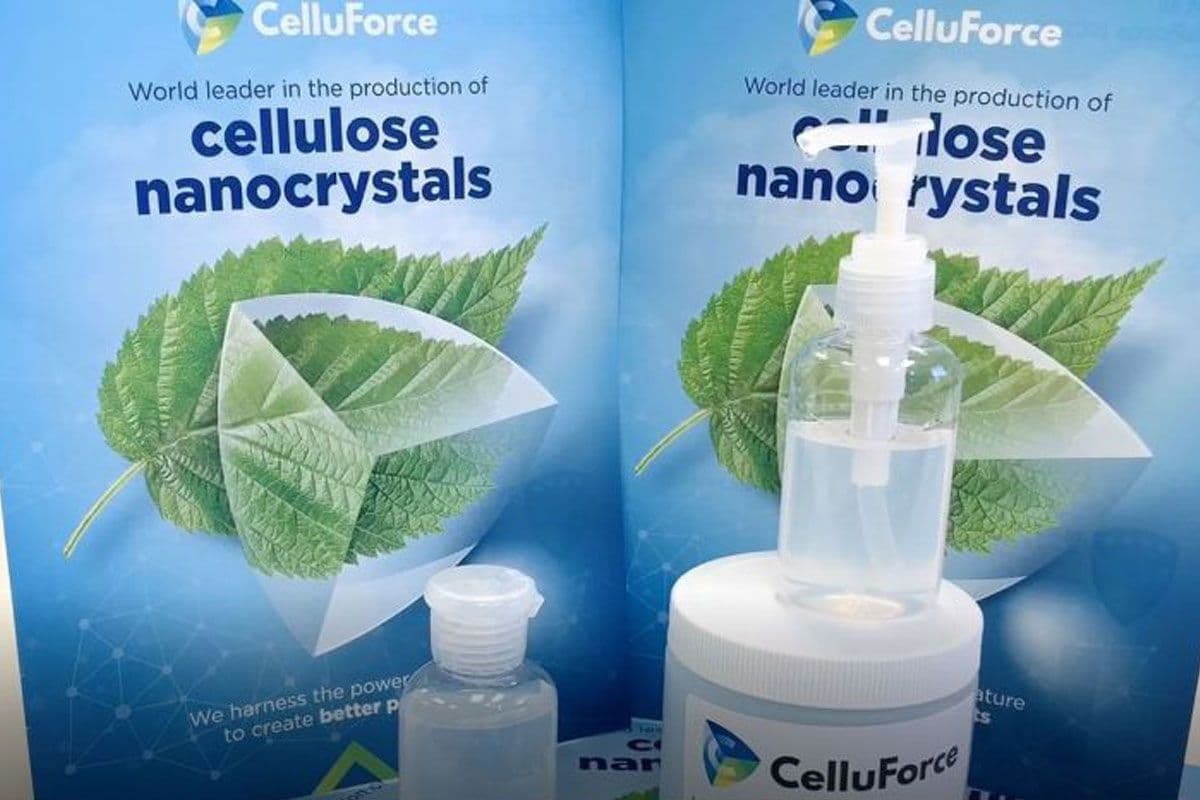 Cellulose nanocrystals (CNCs)